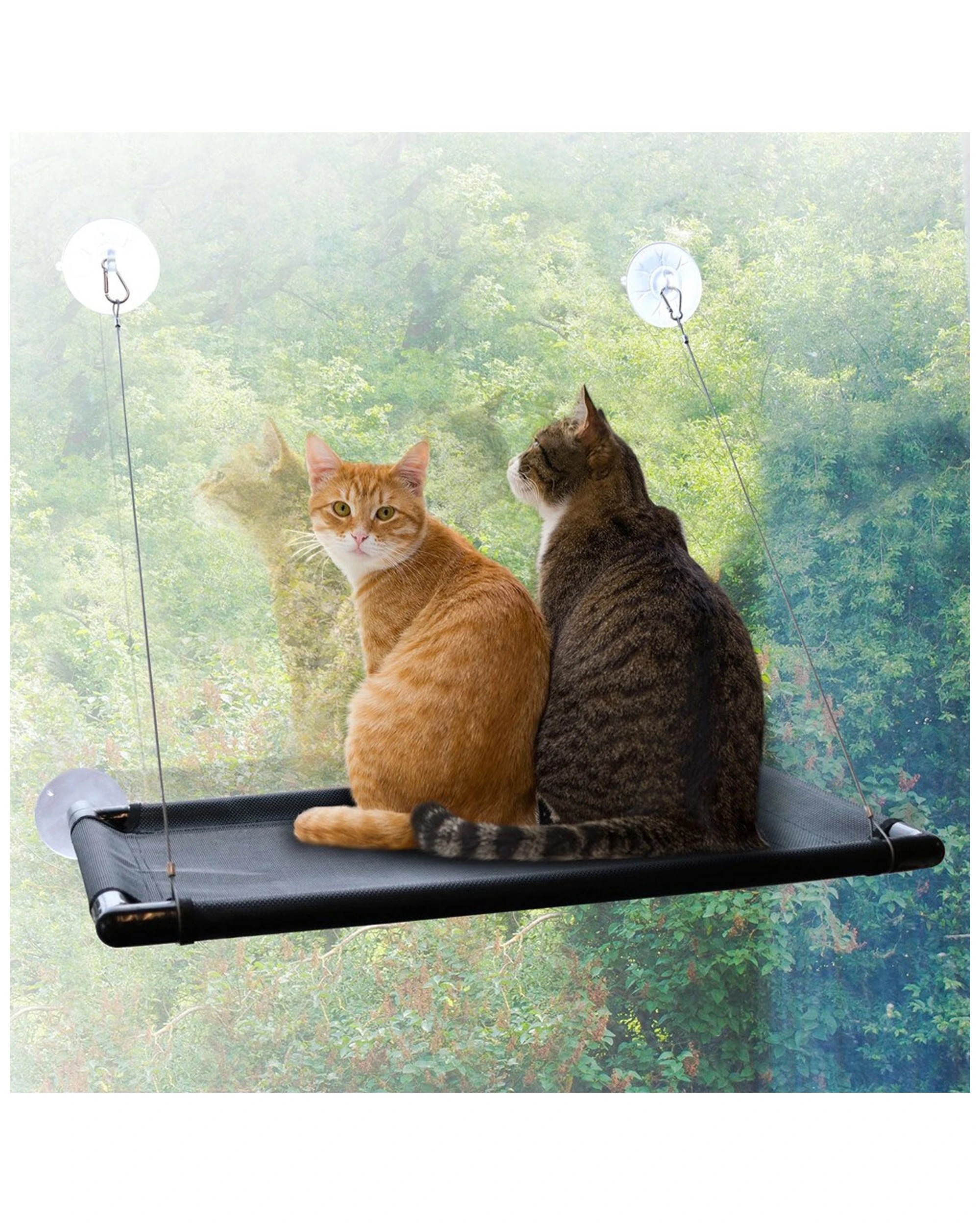 4 Paws And Claws Window Mounted Cat Hammock Black - Sturdy Indoor Pet Bed For Multiple Cats 66x40cm
 - Black, 4 of 4