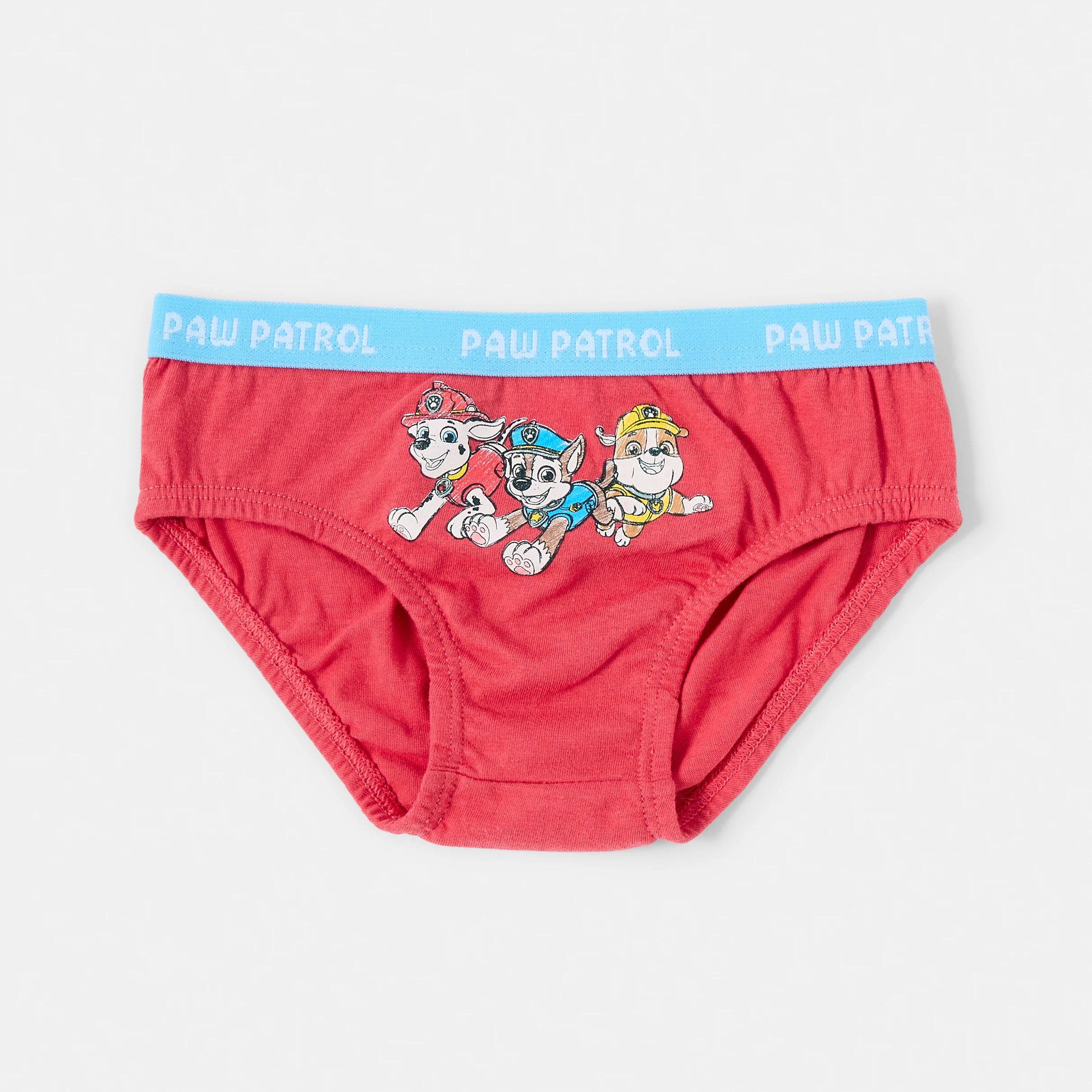 6 4 Pack PAW Patrol License Briefs PAW PATROL, 6 of 7