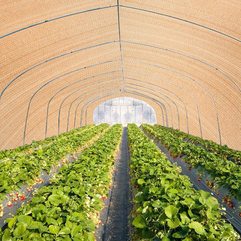 3 ZUNI 70% UV Shade Cloth Shade Sail Heavy Duty Garden Mesh Roll 3.66x30M - Beige, 3 of 3