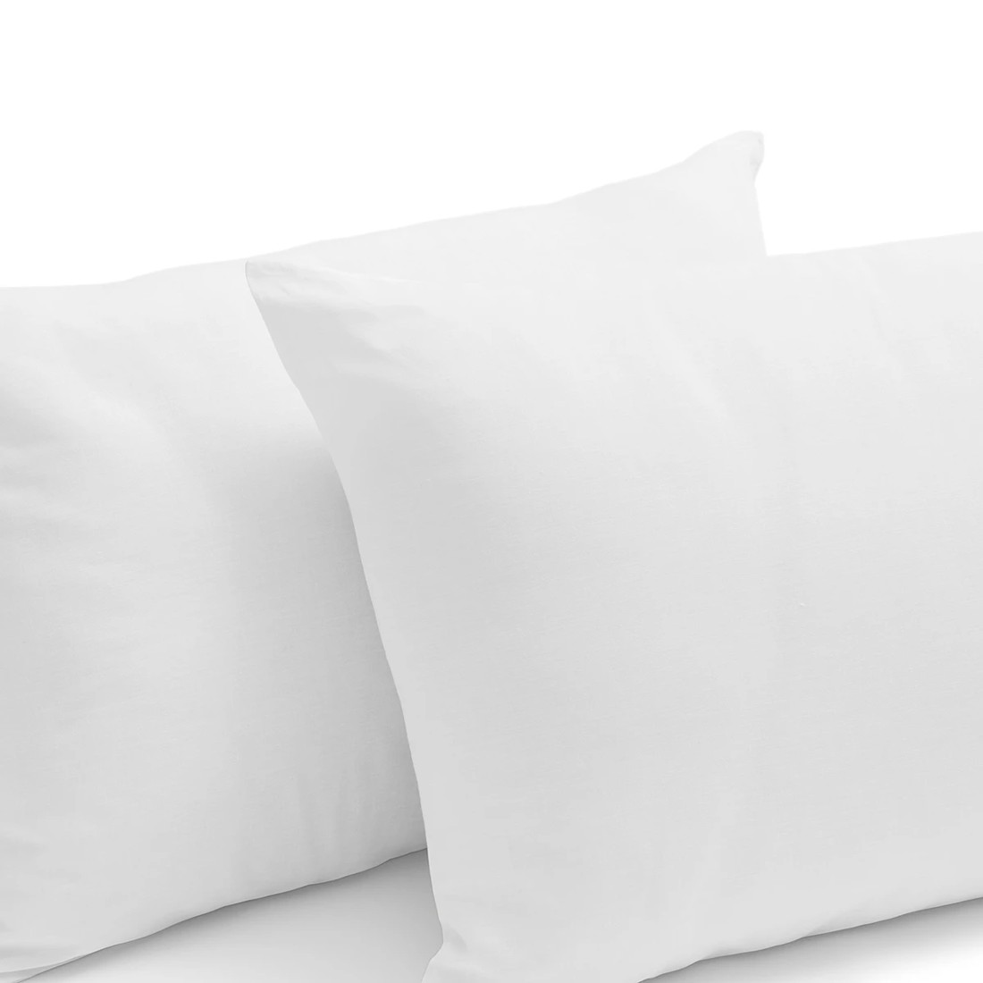 6 2 Pack Cotton Rich Cover Pillows - High Profile, White, 6 of 6