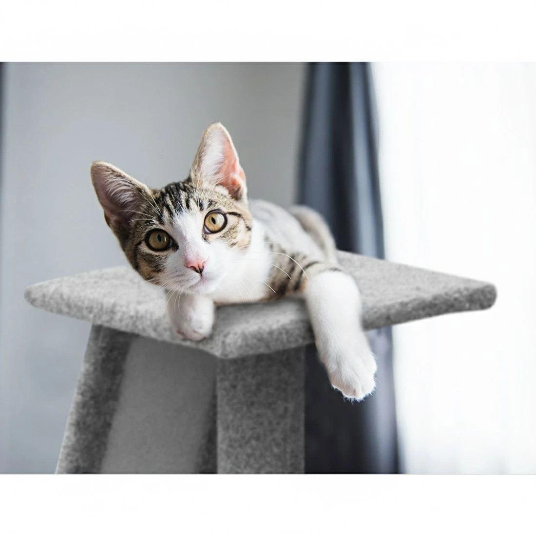 6 i.Pet Cat Tree 82cm Scratching Post Tower Scratcher Condo Trees Climb House - Grey, 6 of 6