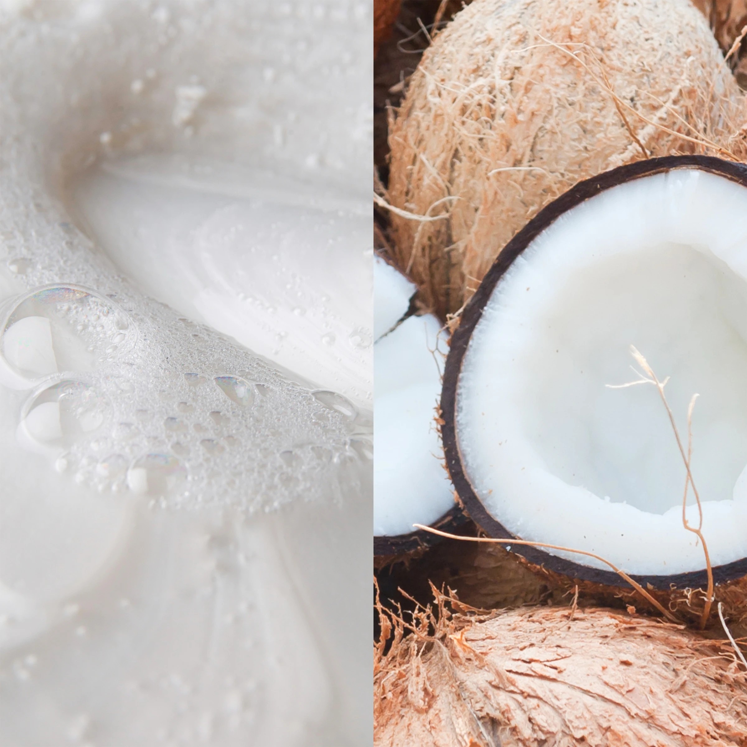 9 Palmolive Naturals Intensive Moisture Shampoo 700ml - Coconut Cream, 9 of 9