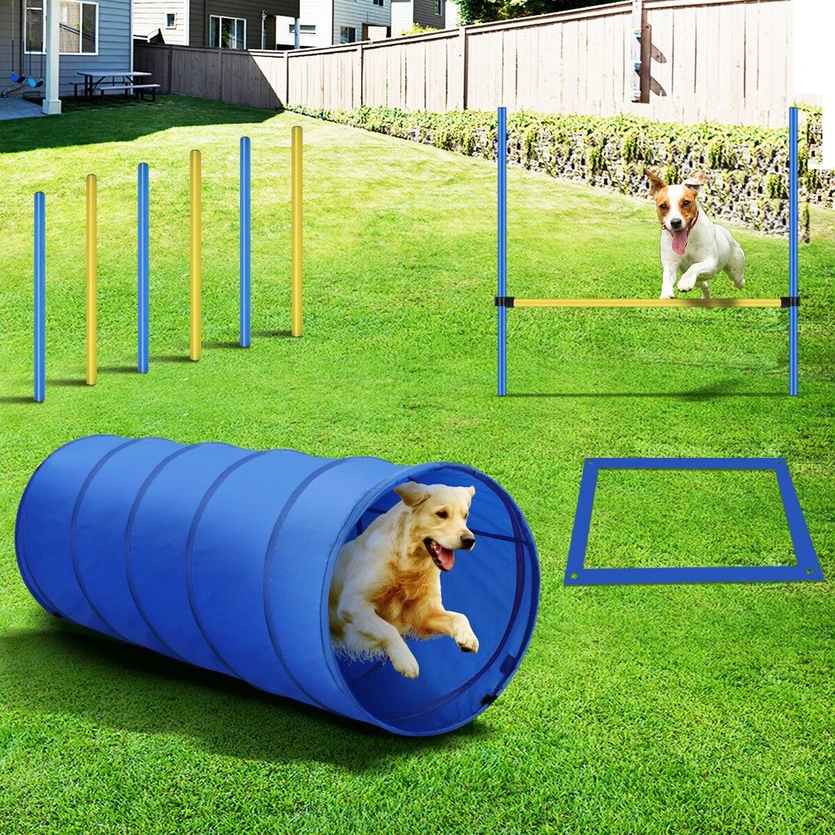 2 Pawise Dog Agility Equipment Set 28 PCS Pet Obstacle Training, 2 of 9
