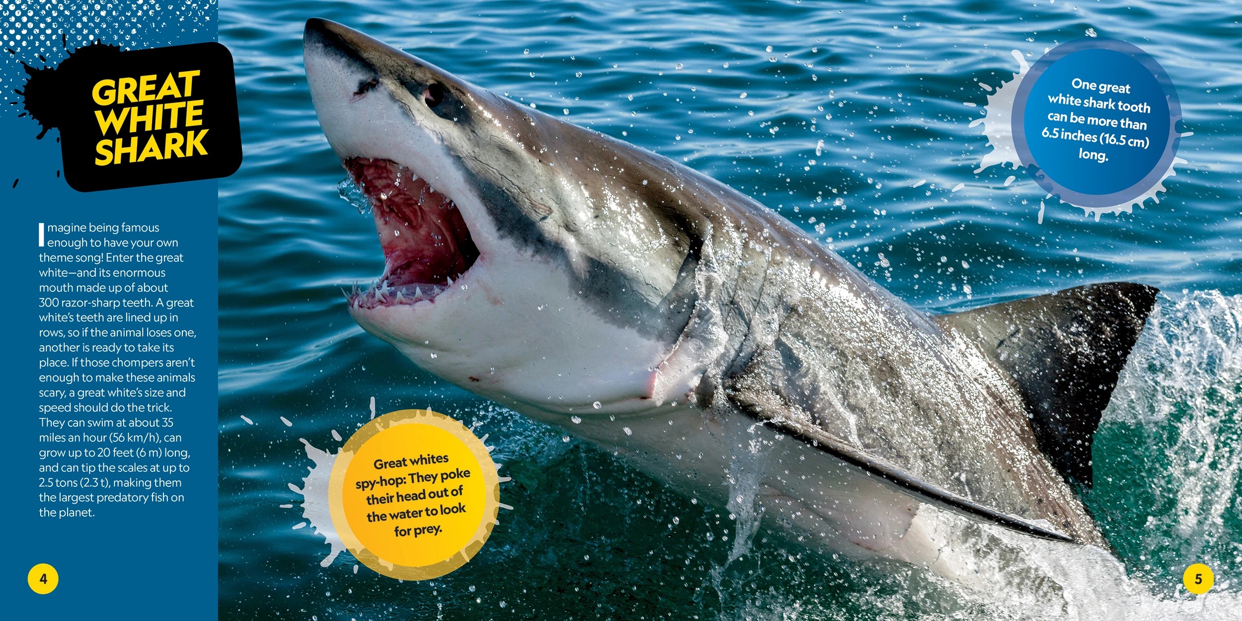 2 Disney: National Geographic Kids: Deadliest Animals on the Planet - Book, 2 of 3