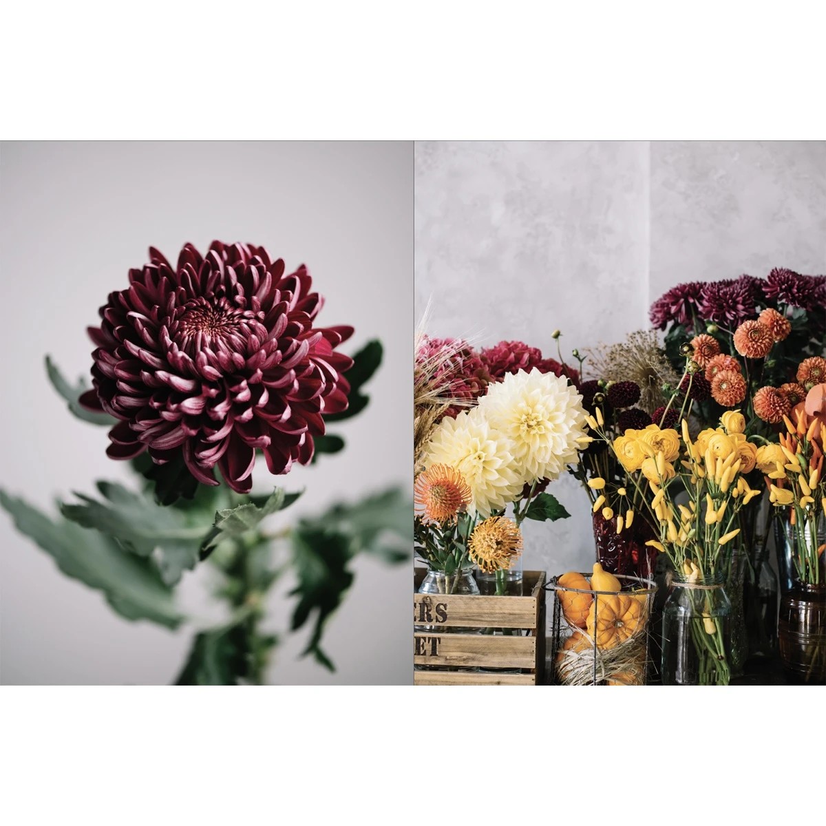 6 Flower - Book, 6 of 6