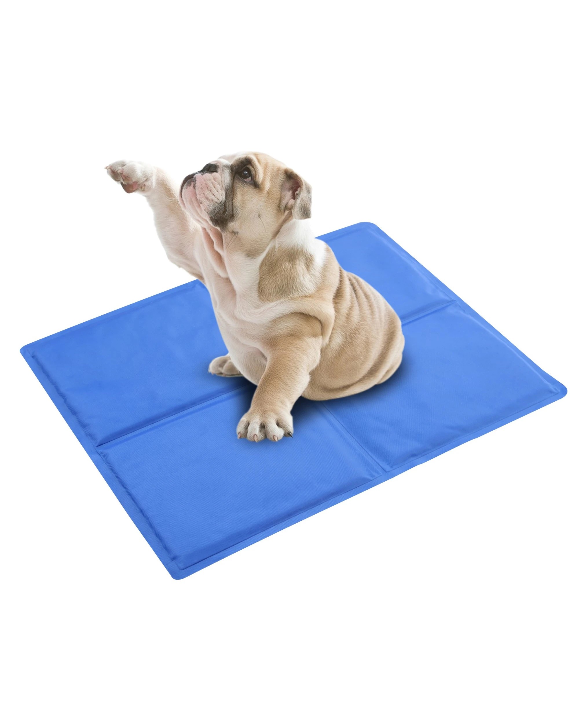 3 Paw Paws Pet Cooling Mat Large - Blue, 3 of 7