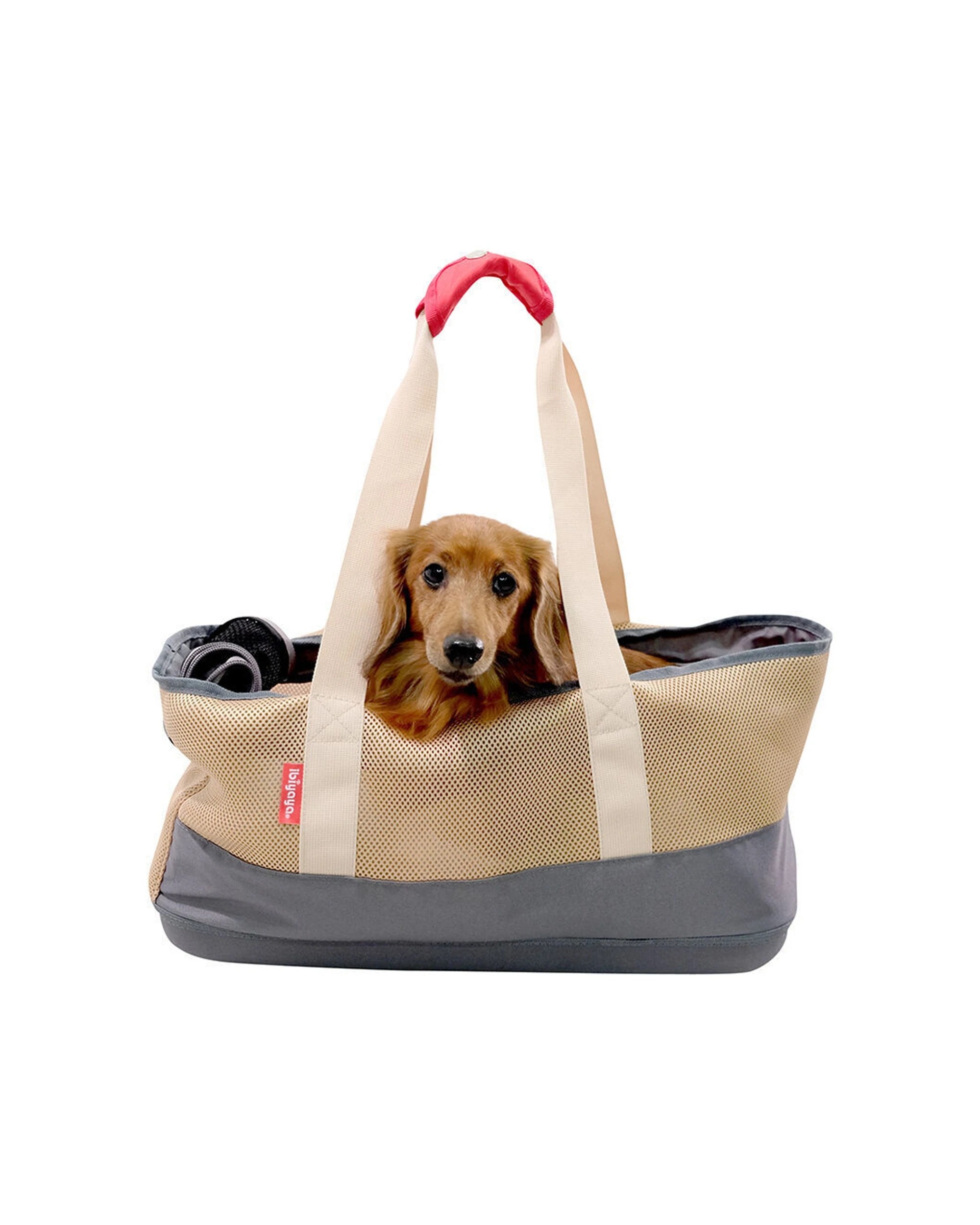 2 Ibiyaya Light Pet Carrier With Hardshell Base For Dachshunds And Long Pets - Green, 2 of 2