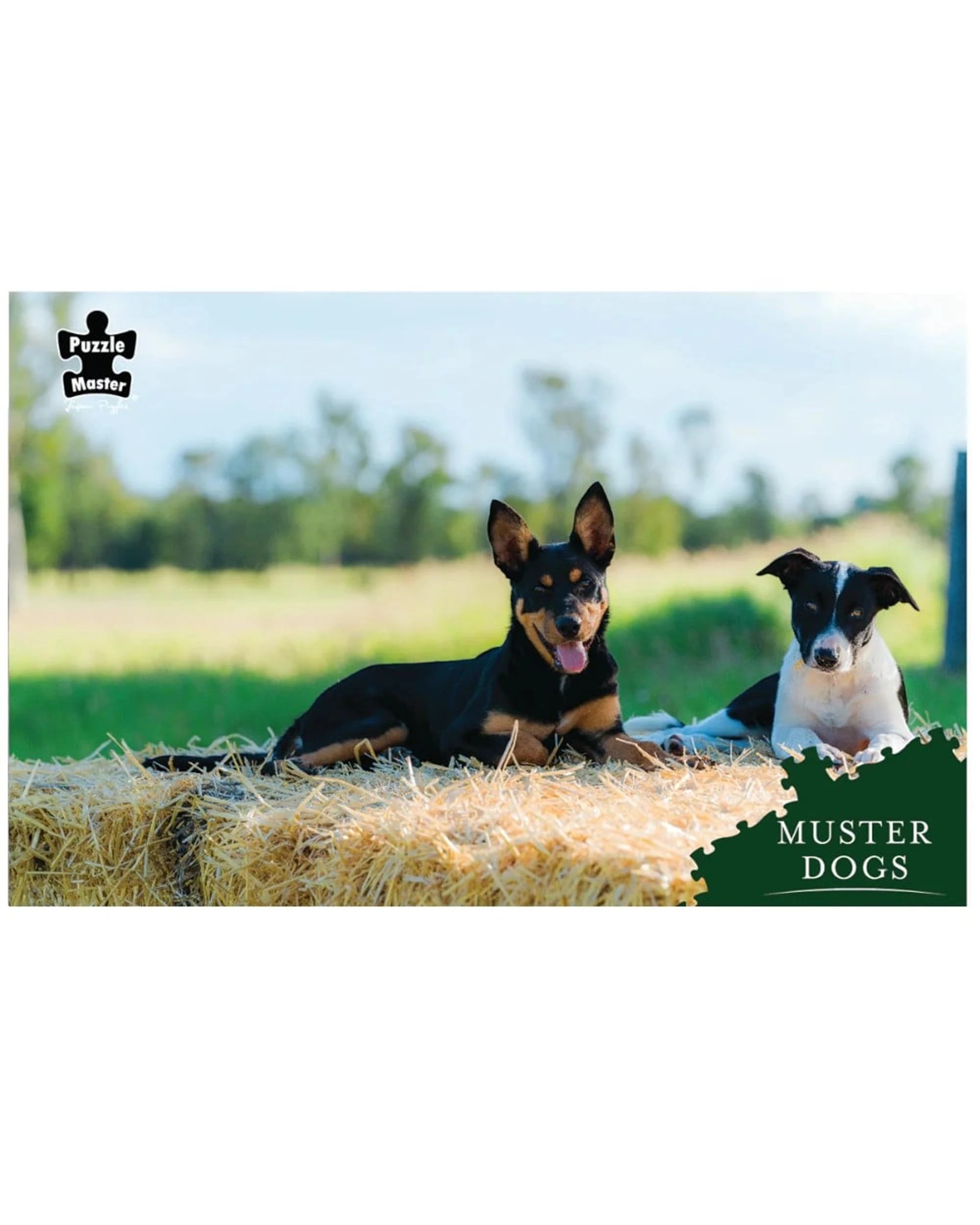 2 Puzzle Master Muster Dogs Best Mates 1000 Piece Jigsaw Puzzle, 2 of 2