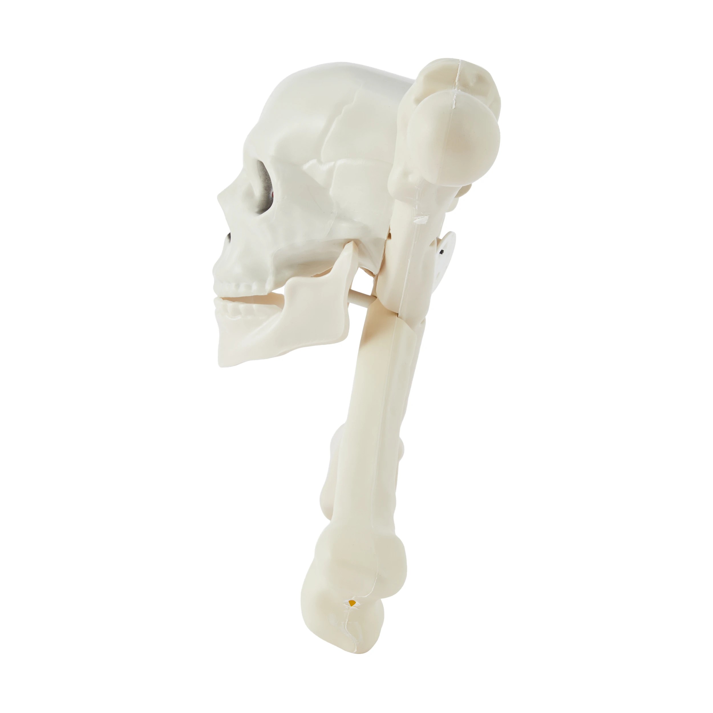 4 Light Up Skull and Cross Bones, 4 of 7