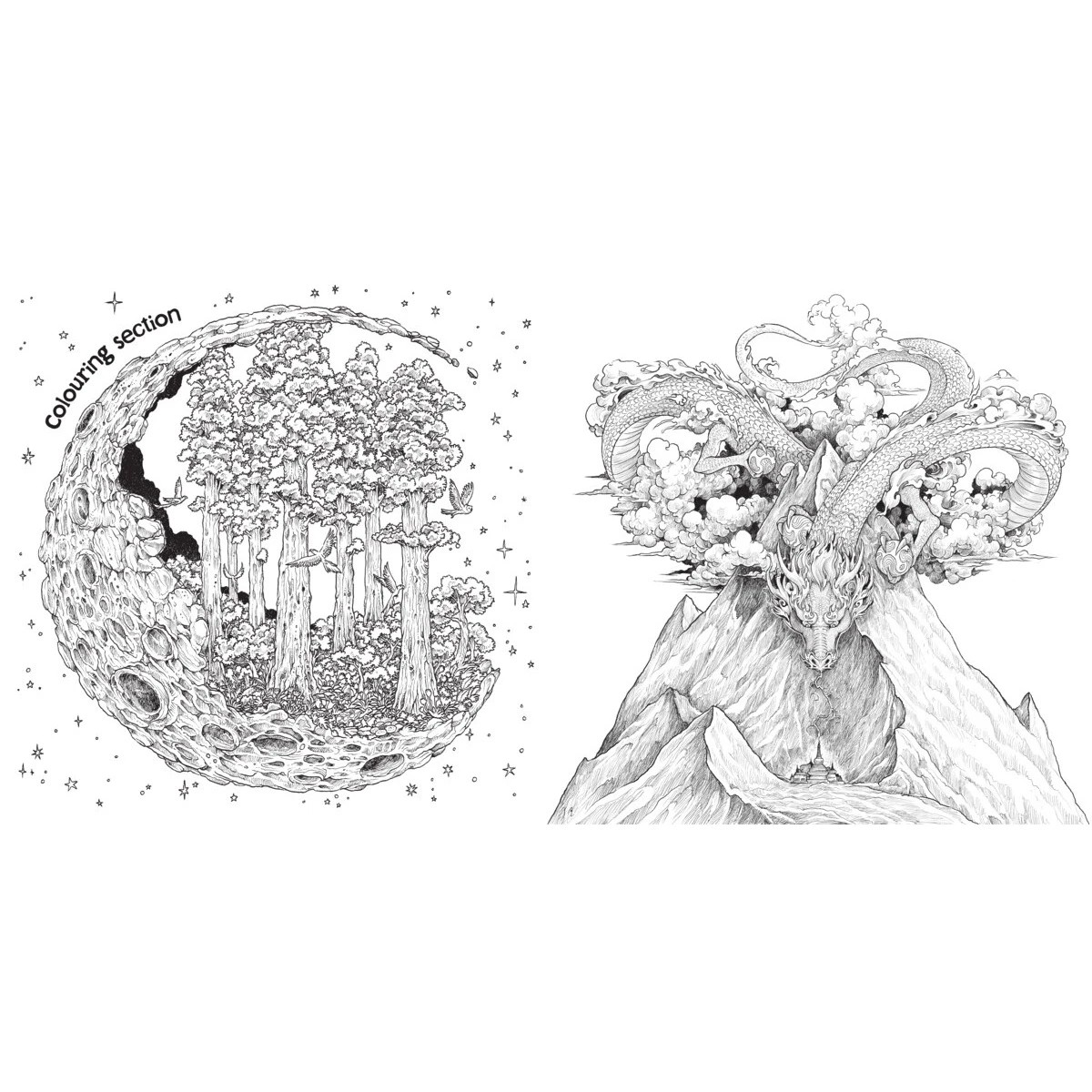 2 World of Colour: A Journey of Colouring Challenges by Kerby Rosanes - Book, 2 of 3