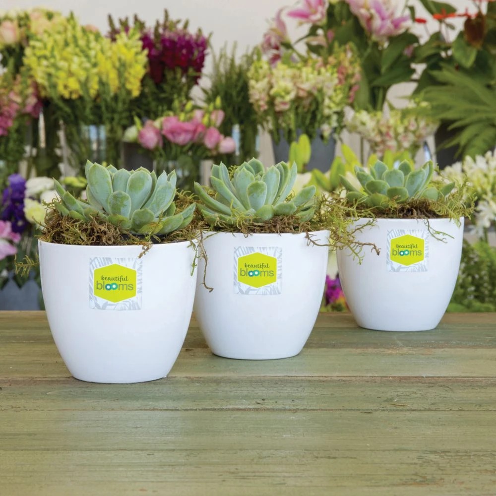 4 Avery 35UP Inkjet Laser Square Labels Gloss White 10 Sheets, 4 of 6