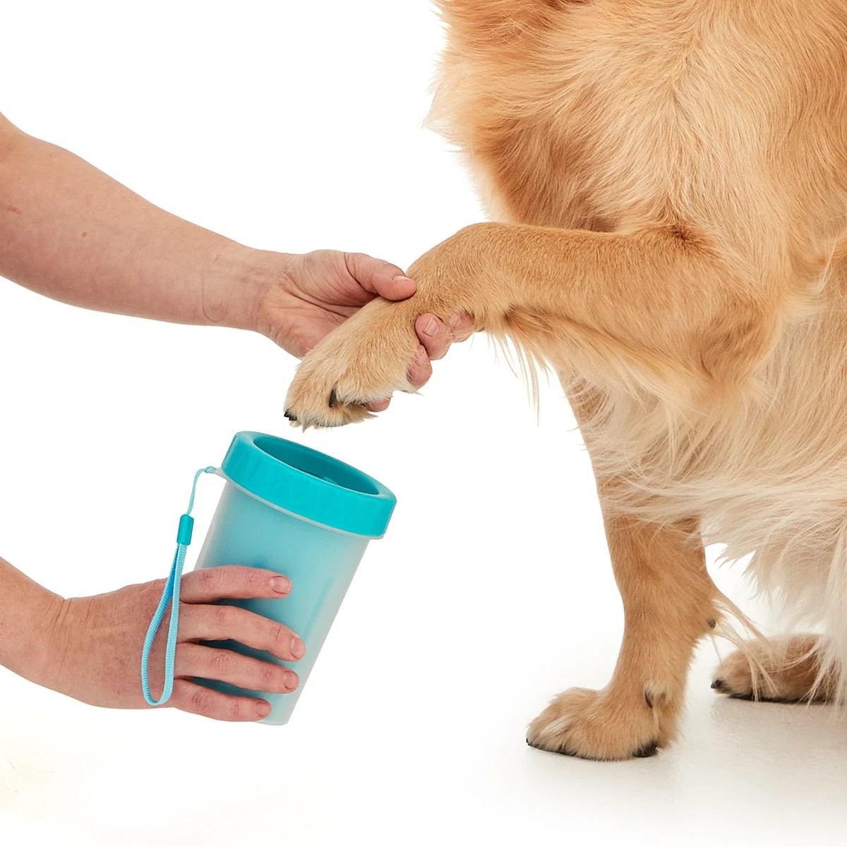 1 Dog Paw Cleaner, 1 of 8