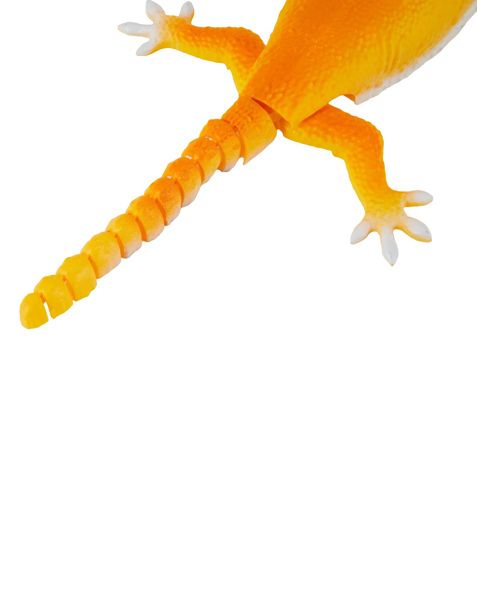 7 Remote Control Gecko, 7 of 8