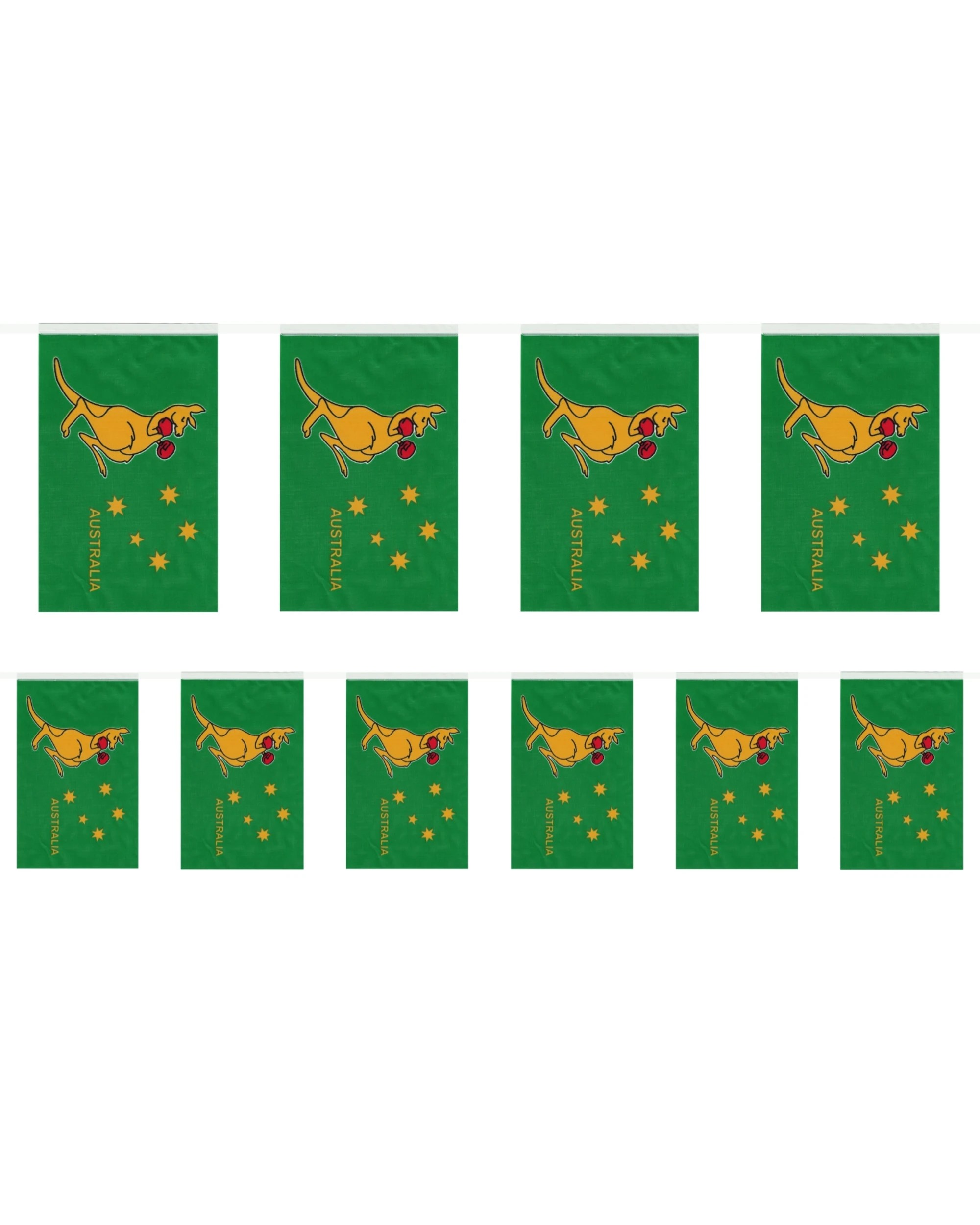 1 Oceana Aussie Boxing Kangaroo Pennant Banner 3m - Green, 1 of 1