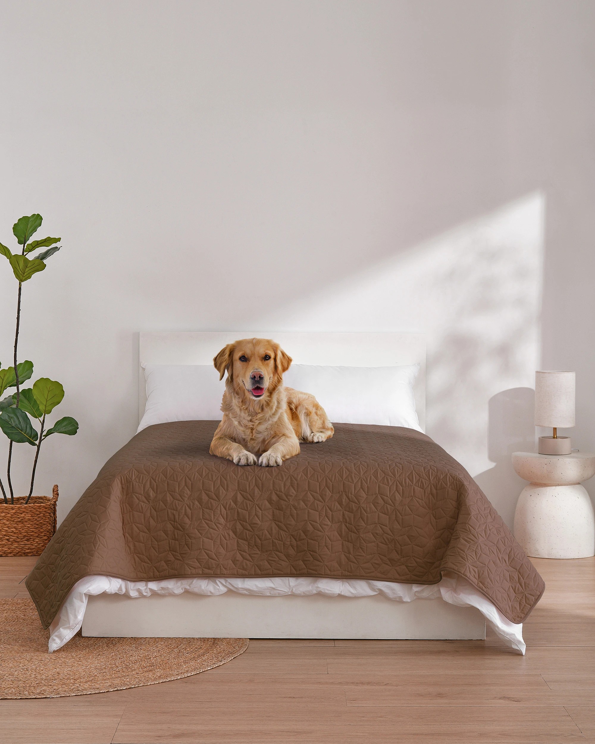1 Charlie's Sofur Waterproof Dog Bed Cover Protector 208x208cm - Double/Queen - Espresso, 1 of 10