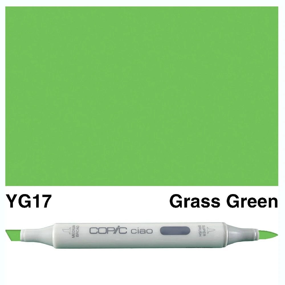 3 Copic Ciao Dual Nib Marker YG17 Grass Green, 3 of 3