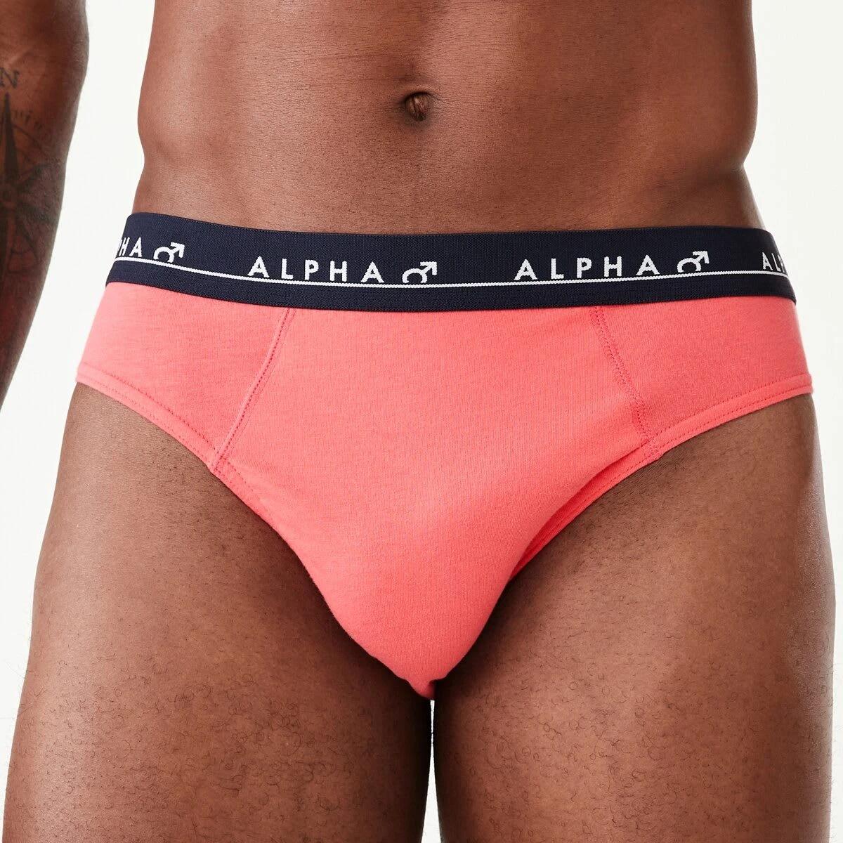 2 5 Pack Alpha Attached Elastic Hipster Briefs LIGHTSCAPE, 2 of 10