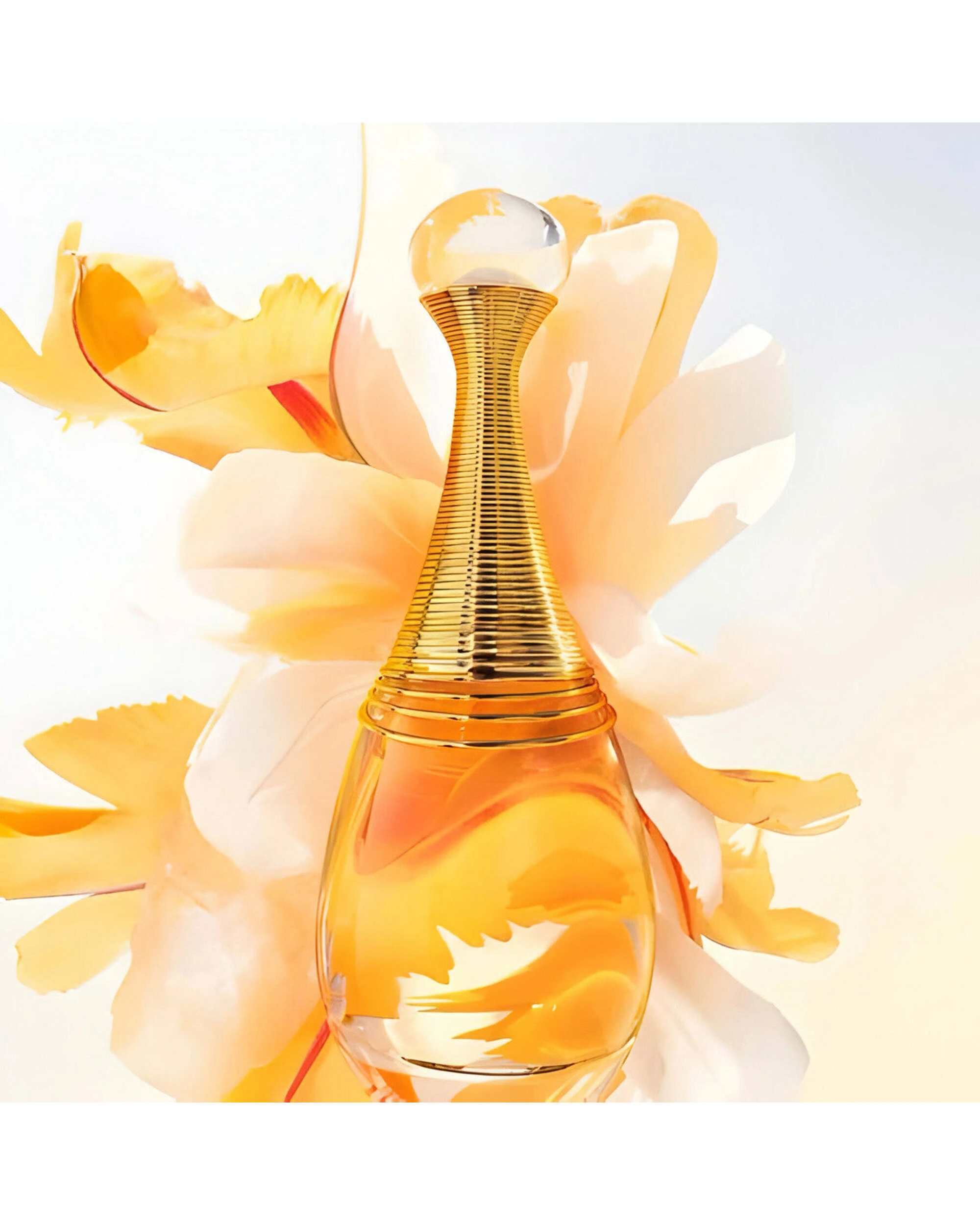 2 Christian Dior J'Adore 50ml Eau De Parfum, 2 of 3