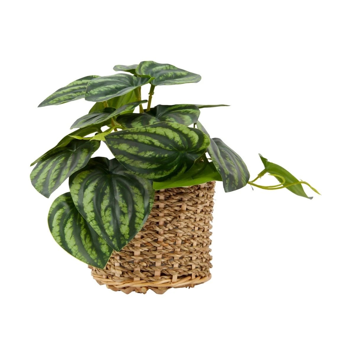 1 Artificial Stripe Leaf Plant in Basket, 1 of 4