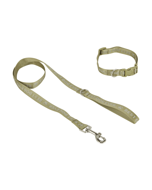 Best Dog Ever Collar and Lead Set - Medium, Green