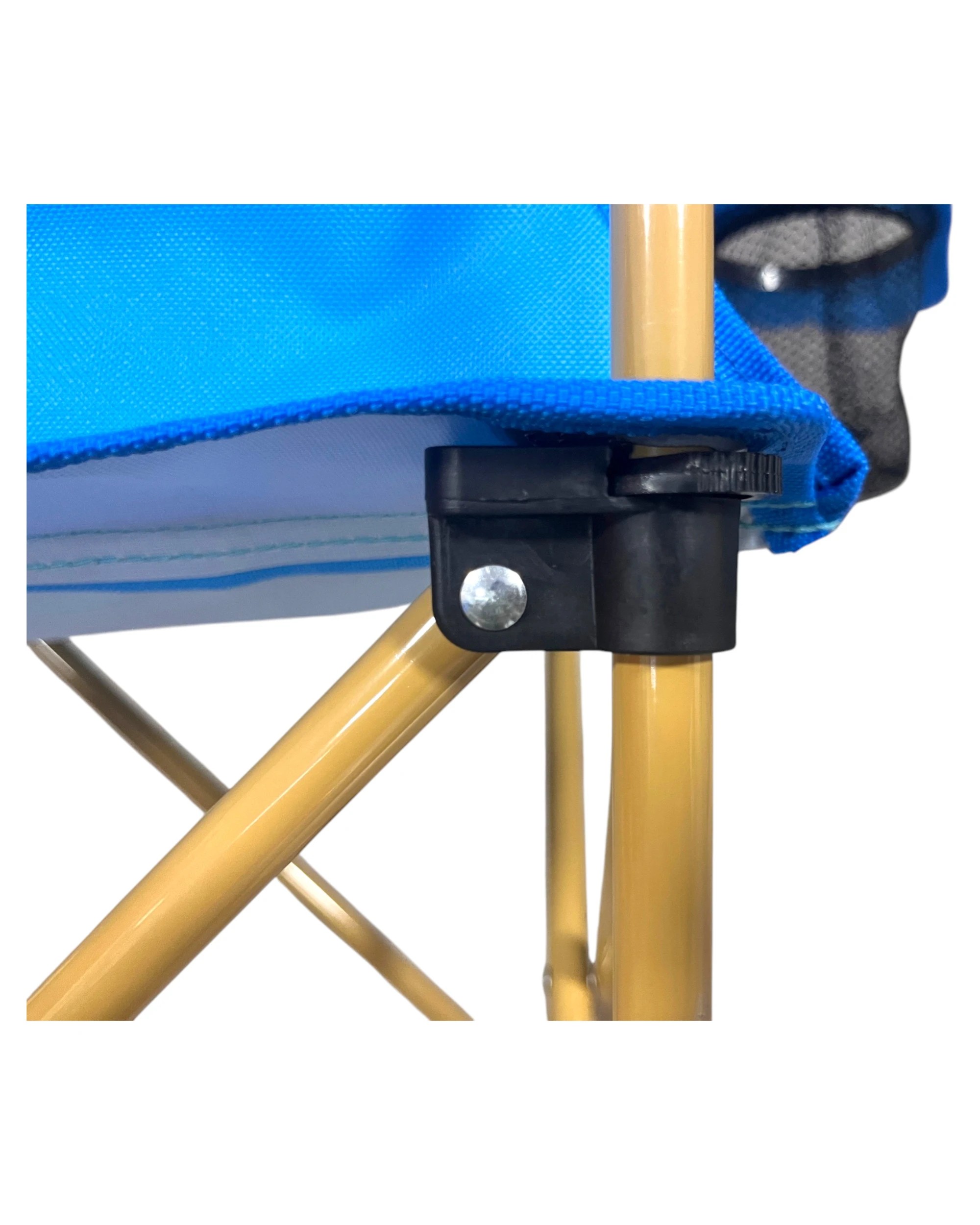 4 Sesame Street Cookie Monster Camp Chair, 4 of 4
