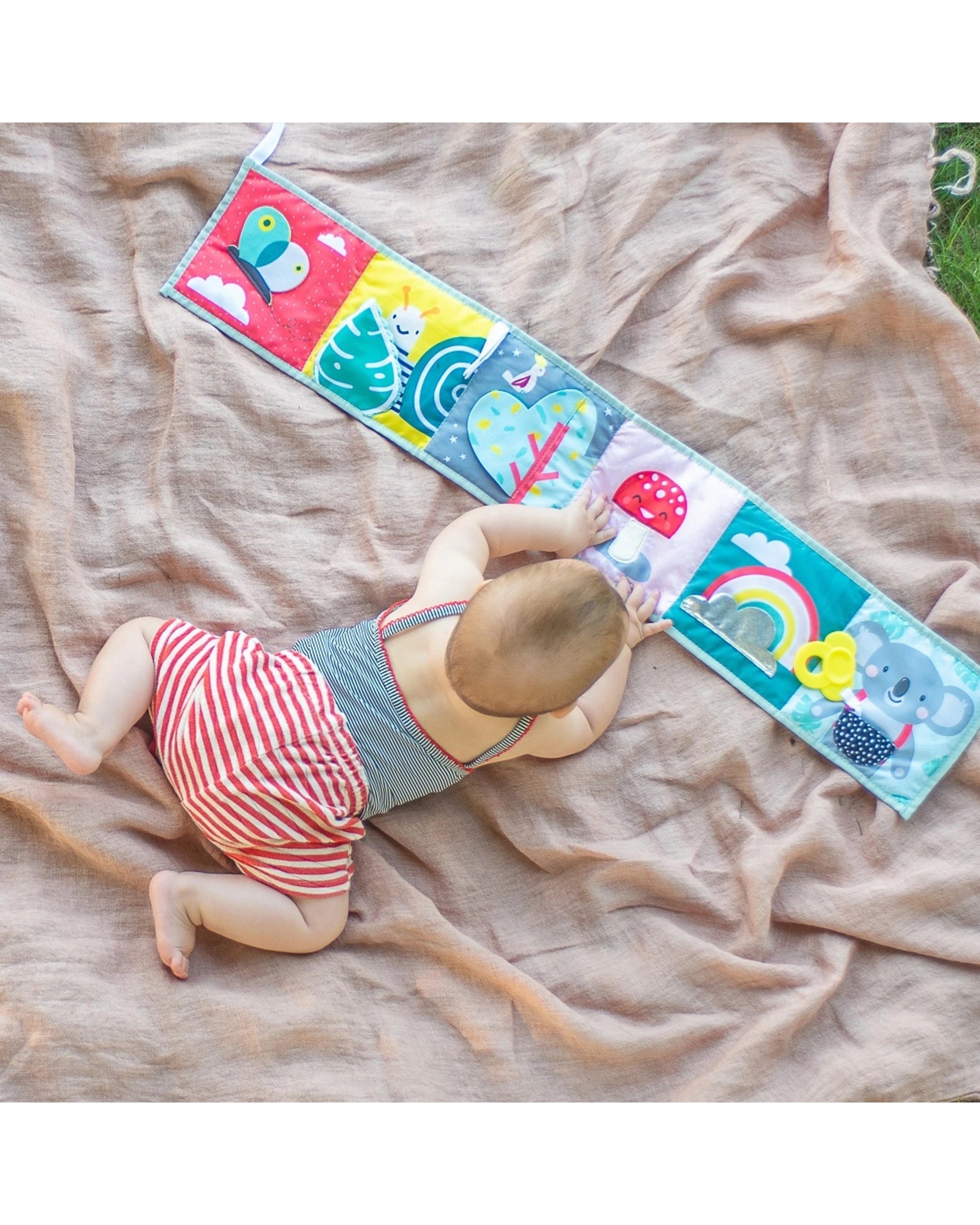 4 Taf Toys Koala Clip On Pram Book Baby-Safe Mirror Joey Teether 15x85cm - Multi, 4 of 6
