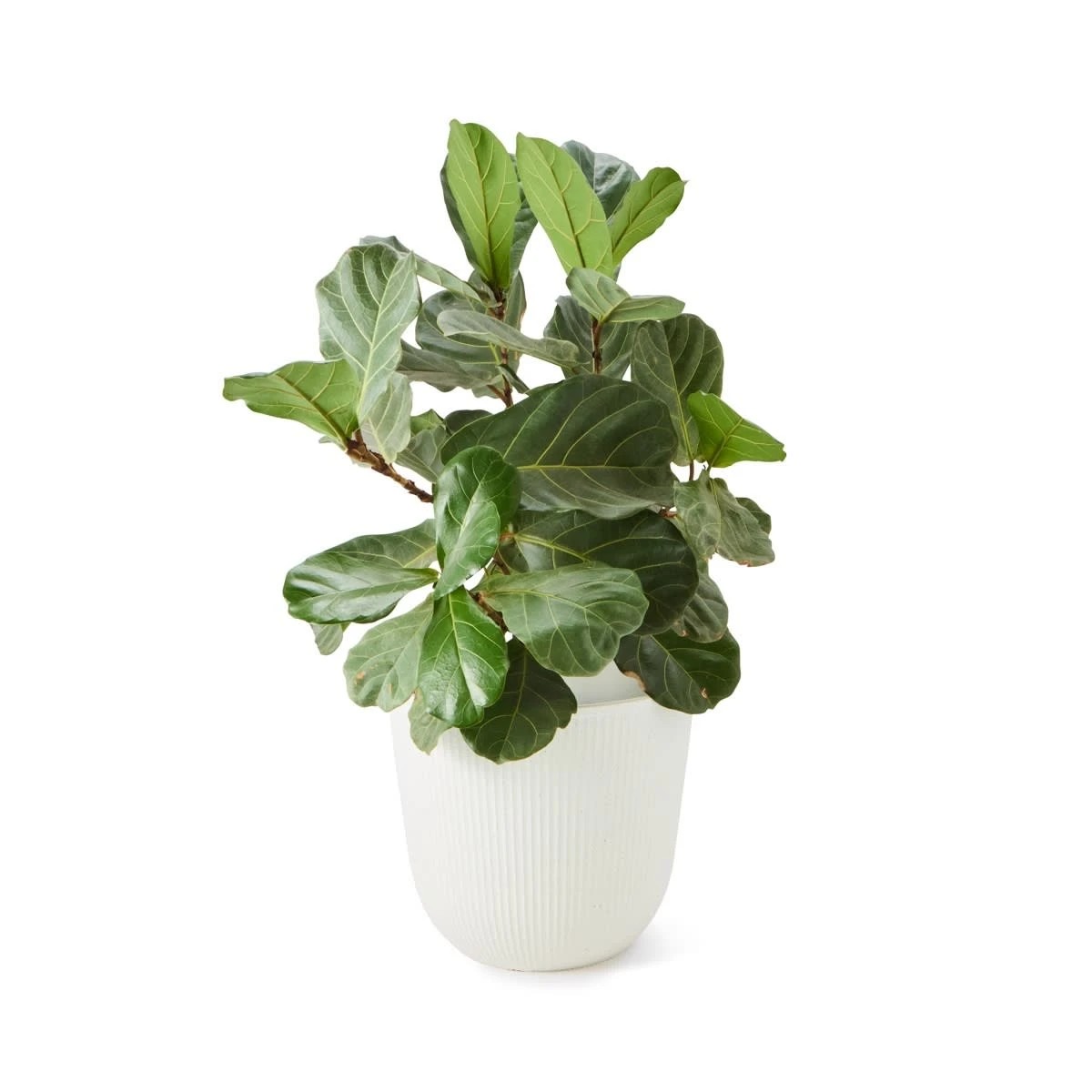 2 Set of 3 Linear Pots, 2 of 10