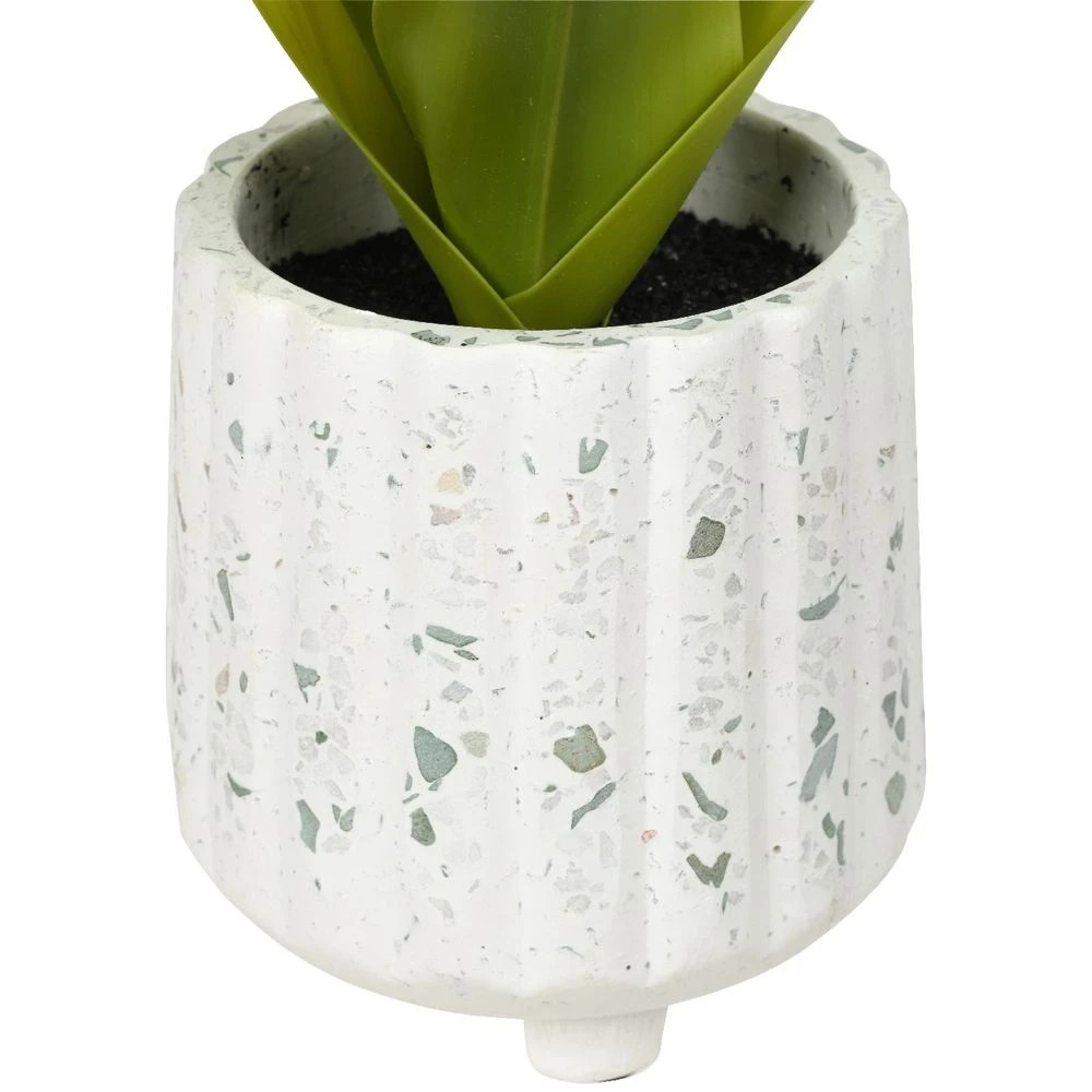 3 Otto Terrazzo Pot with Succulent Plant, 3 of 3