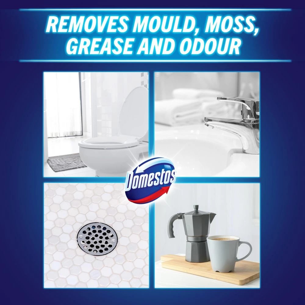 4 Domestos Regular 750mL, 4 of 5