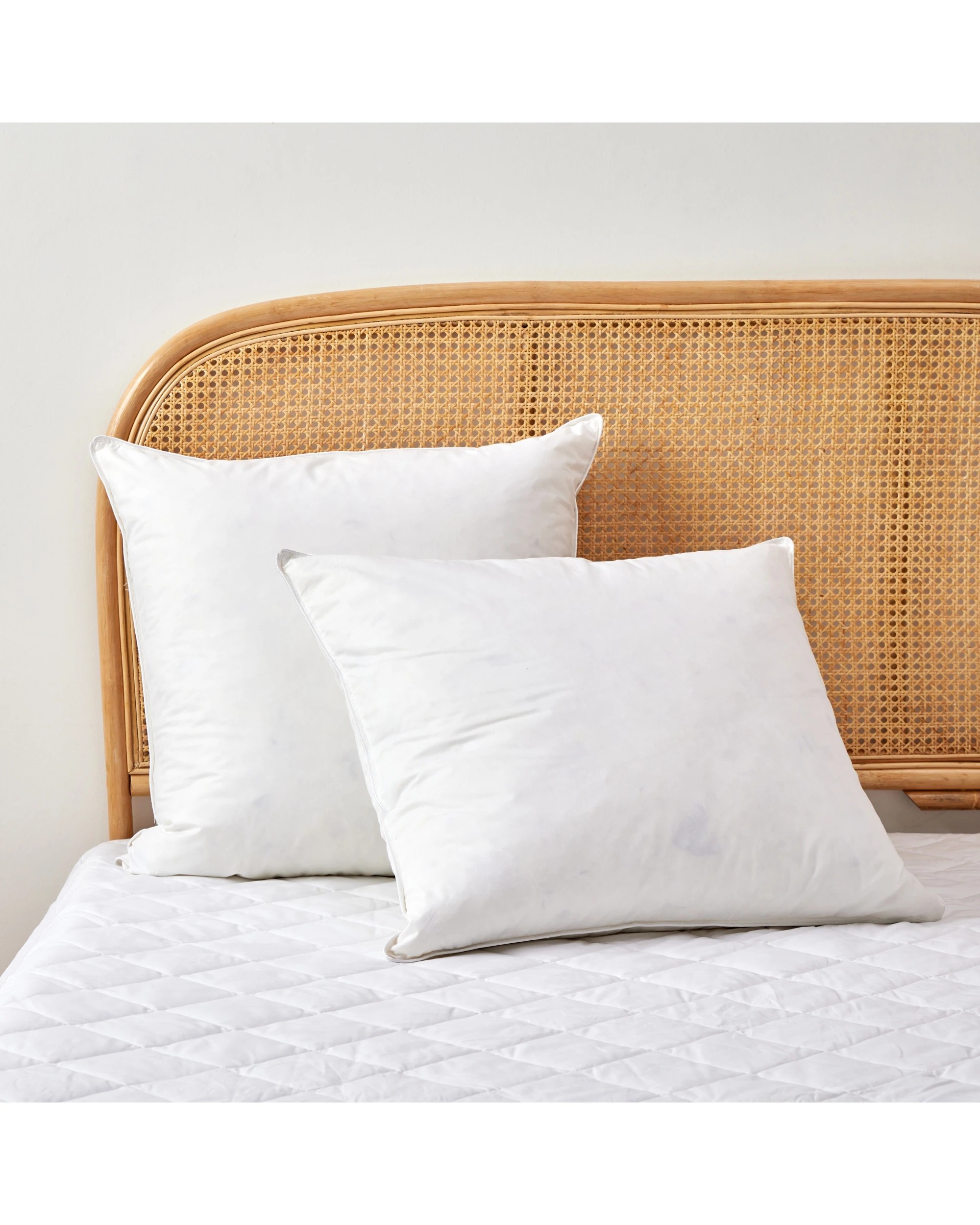 1 Dreamaker Goose Feather and Down Euro Pillow Twin Pack - White, 1 of 4