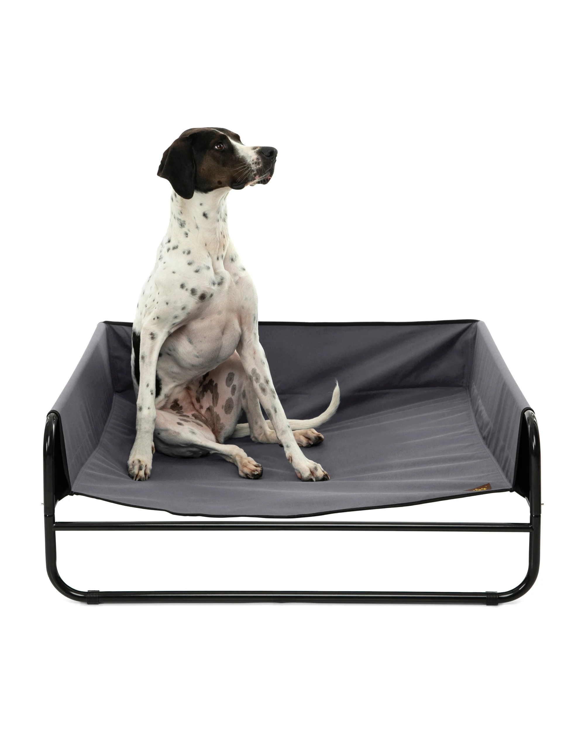 2 Charlie's High Walled Outdoor Trampoline Dog Bed Small - Grey, 2 of 6