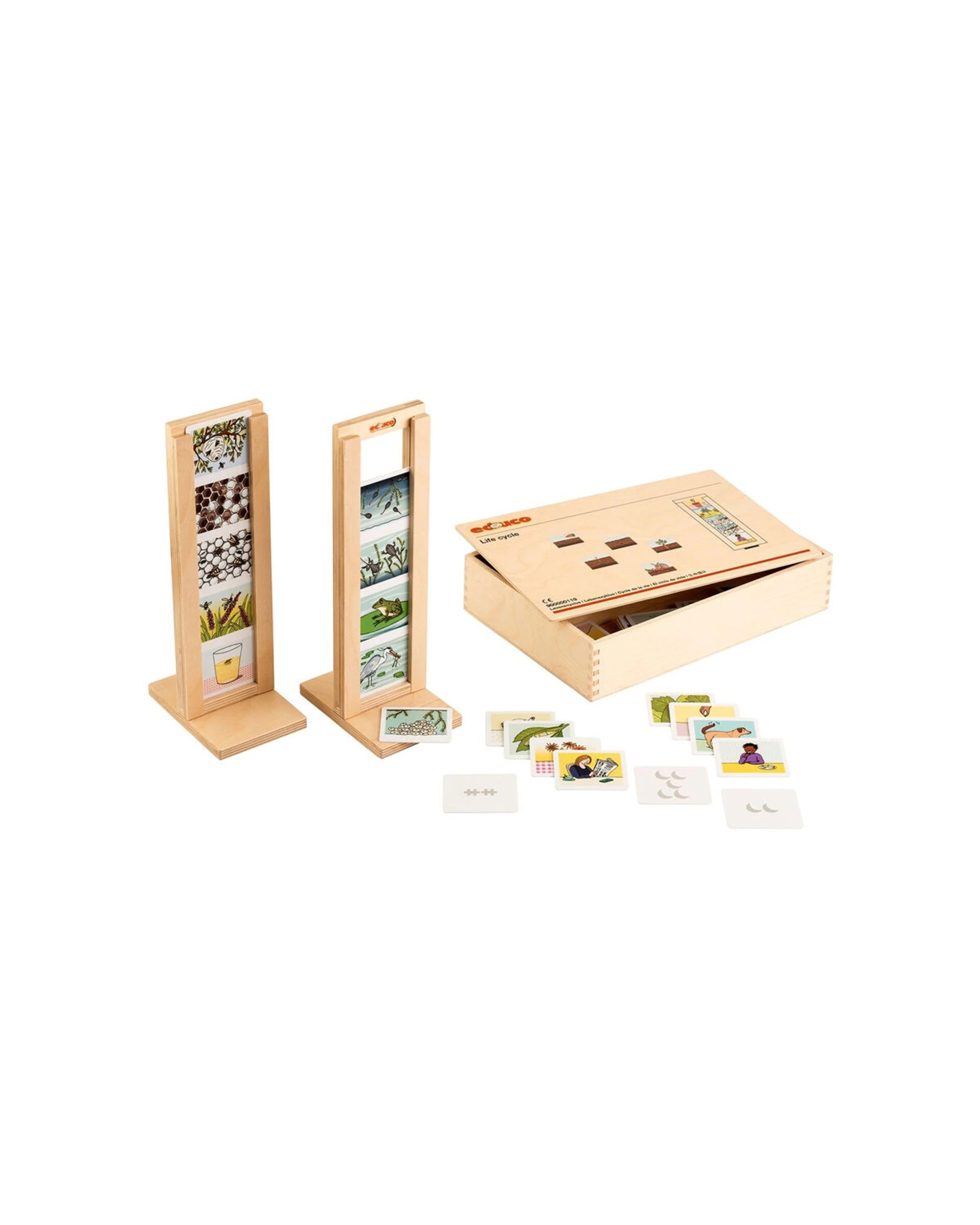 1 EDUCO Life Cycles Educational Toy Educational Card Set 5Pc Children 3Y - Brown, 1 of 3