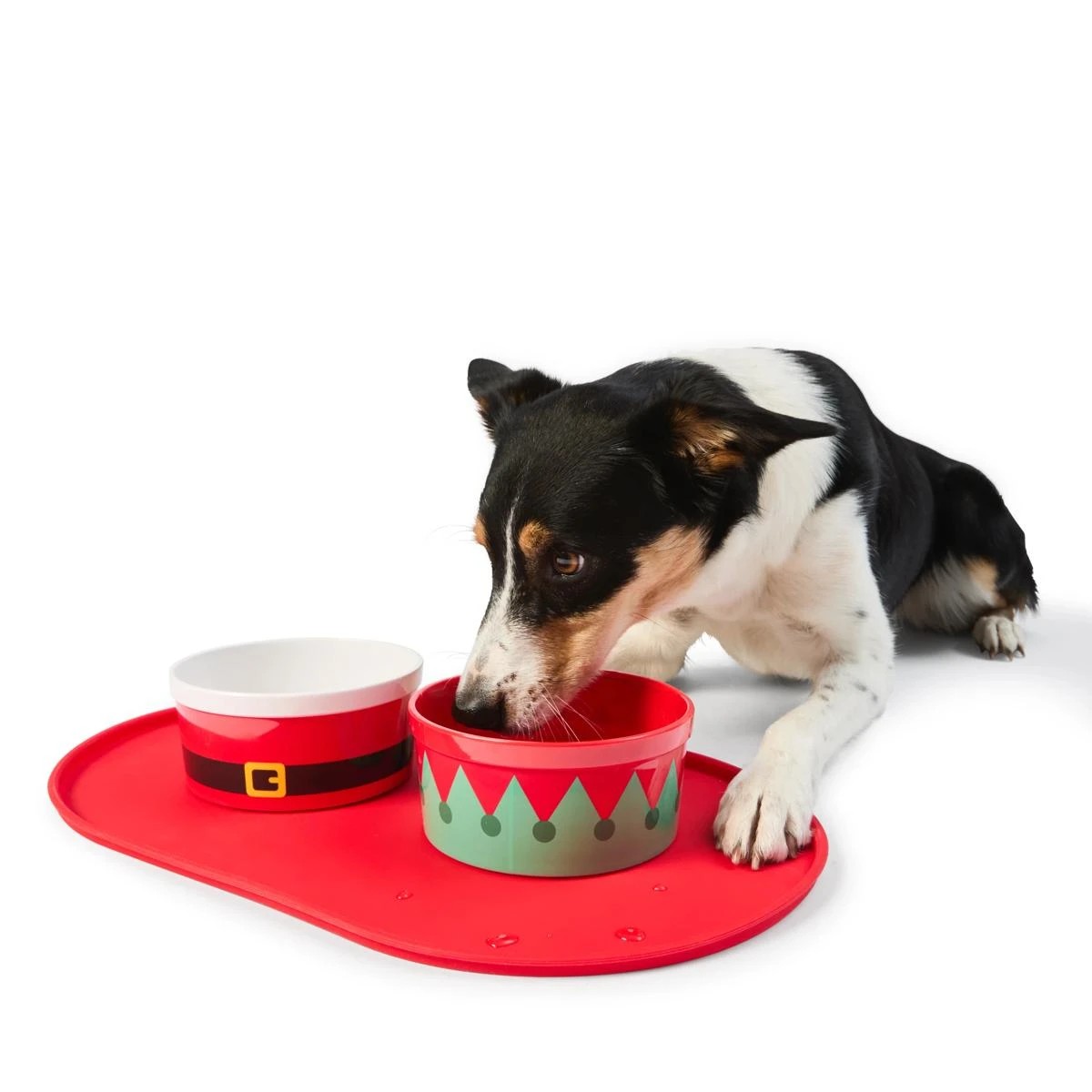 3 2 Pack Melamine Pet Bowl Set, 3 of 11