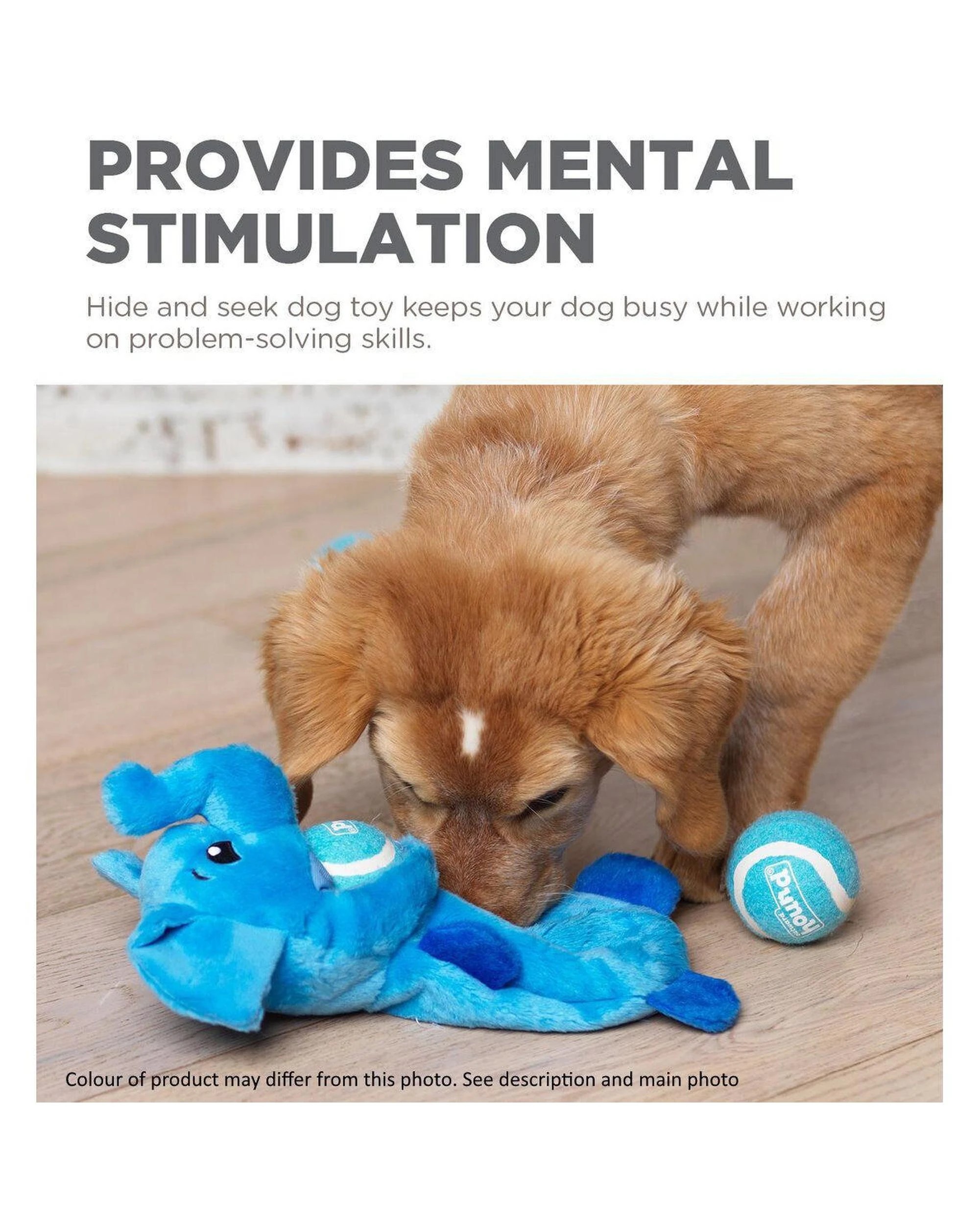 3 Outward Hound Hide-A-Ball Hogz Piggy Plush Dog Toy with 3 Tennis Balls, 3 of 4