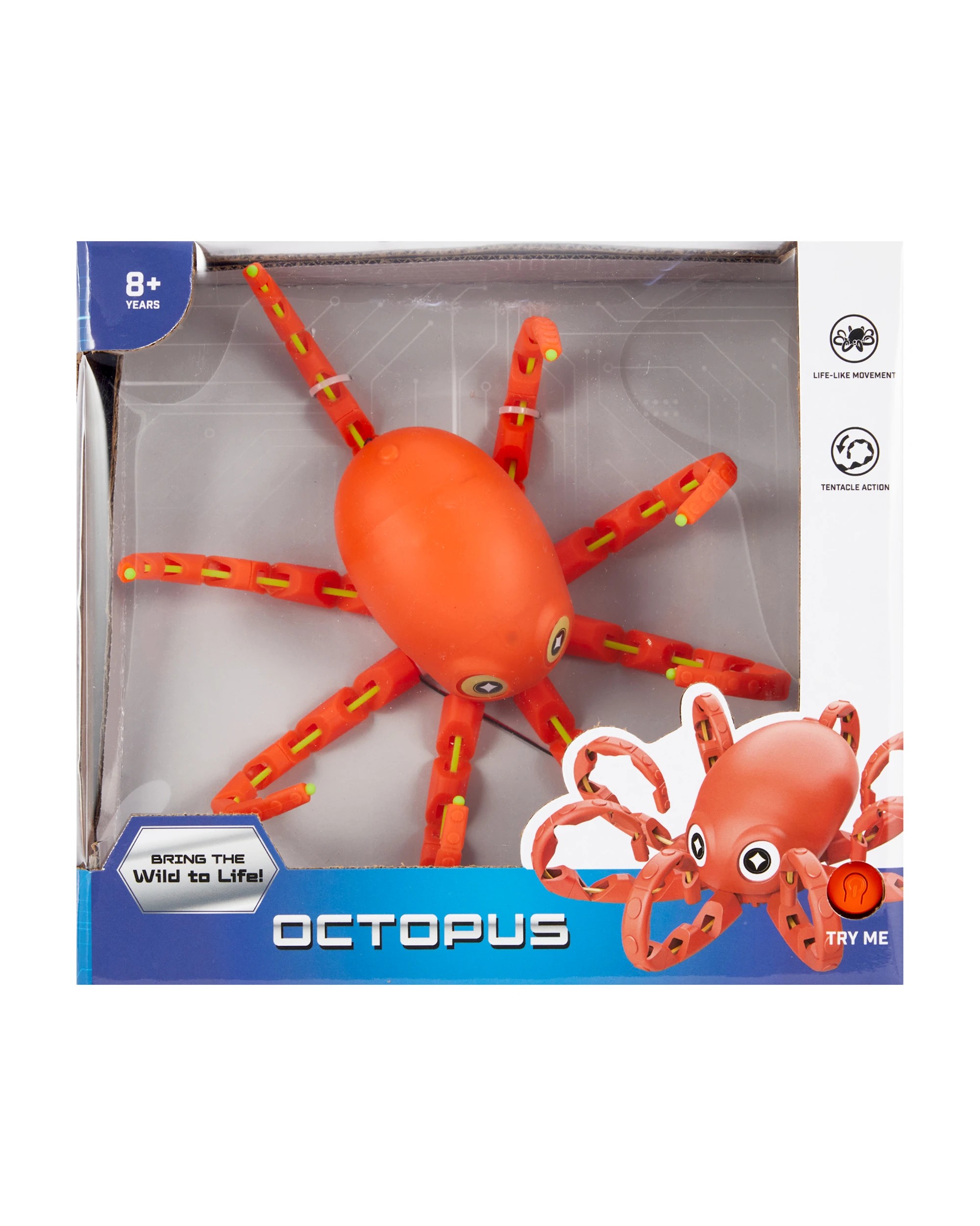 1 Octopus, 1 of 9