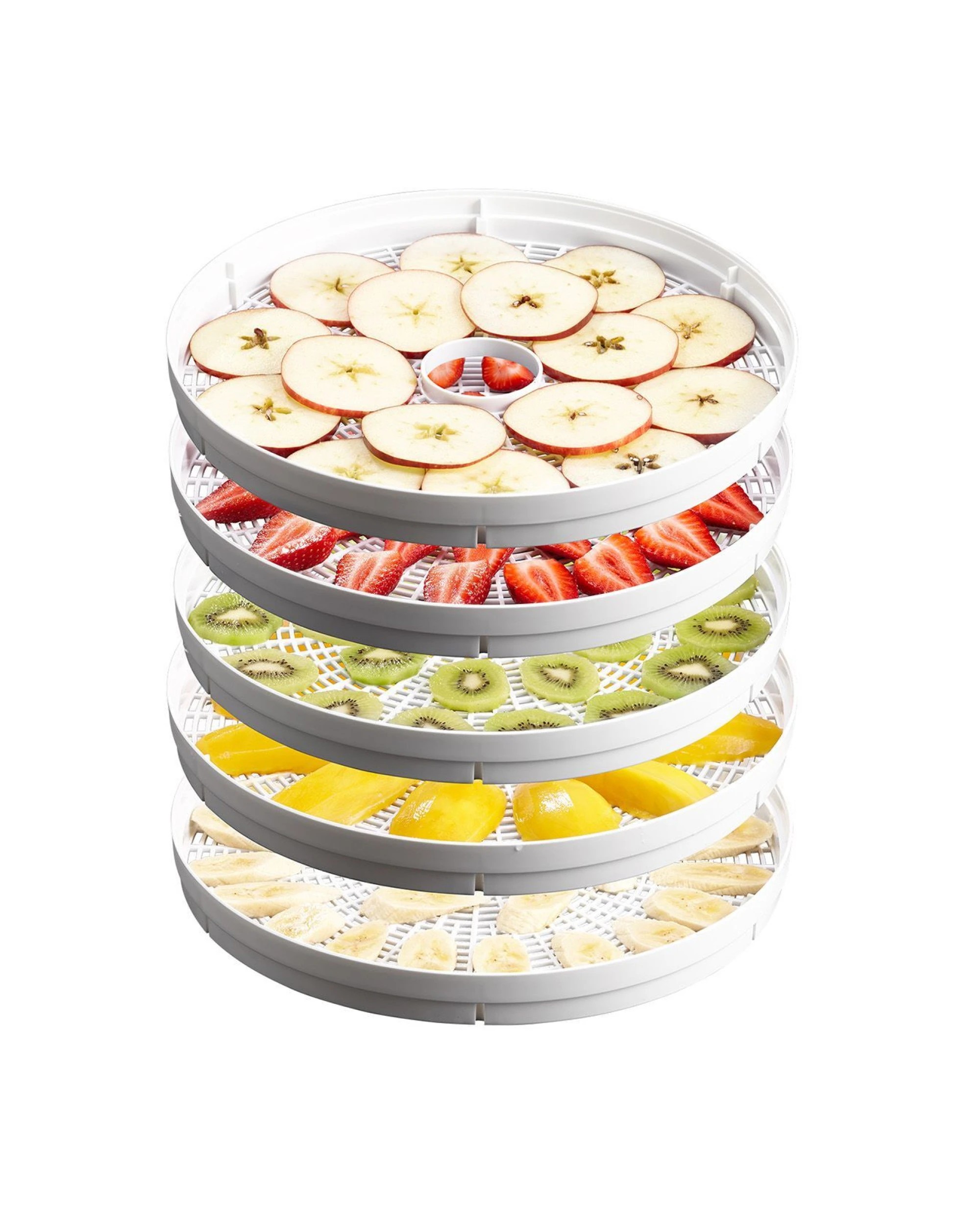 4 Food Dehydrator by Sunbeam with Adjustable Temperature Control, 4 of 5