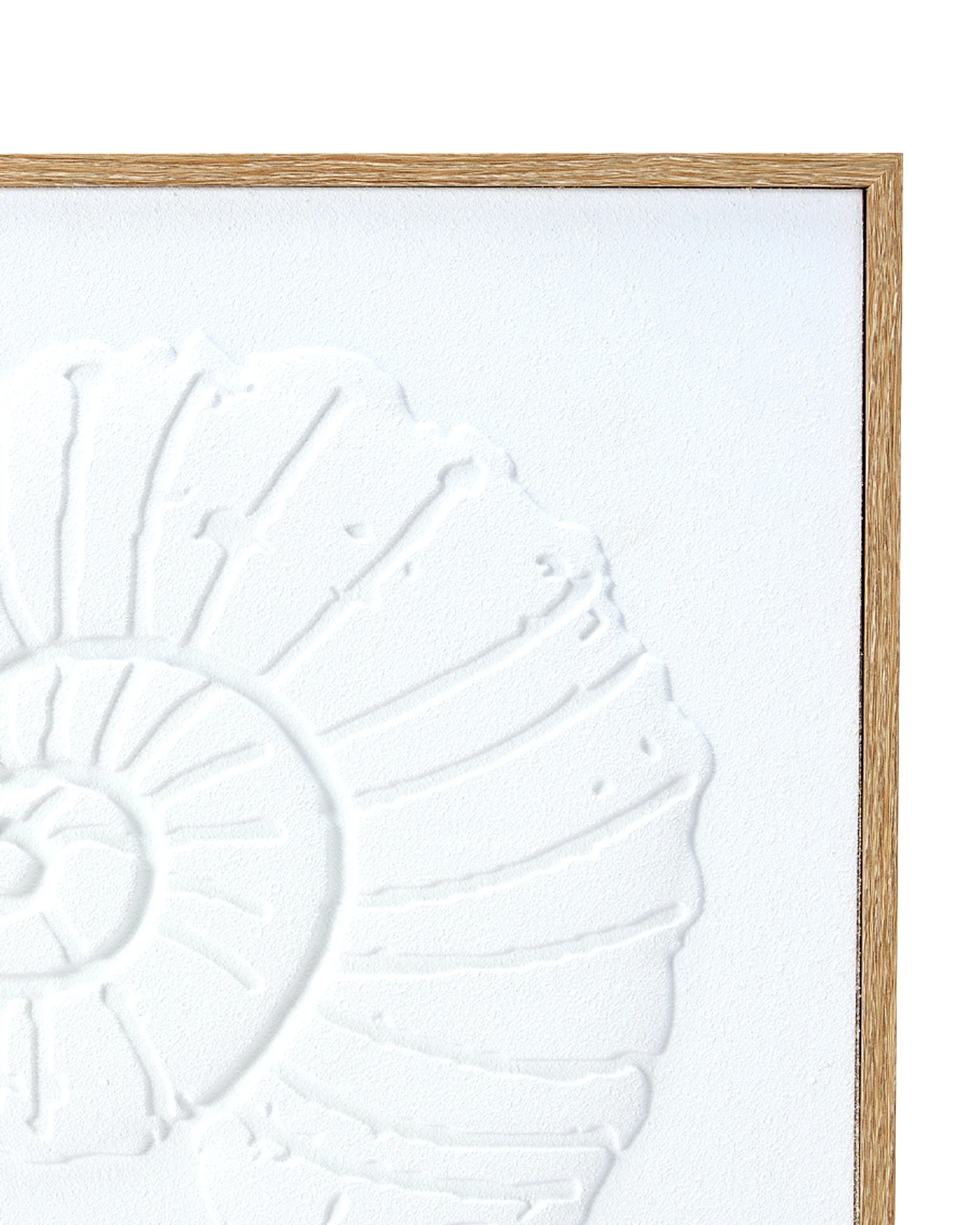 4 2 Pack Shell Framed Canvas - 40cm x 40cm, 4 of 5