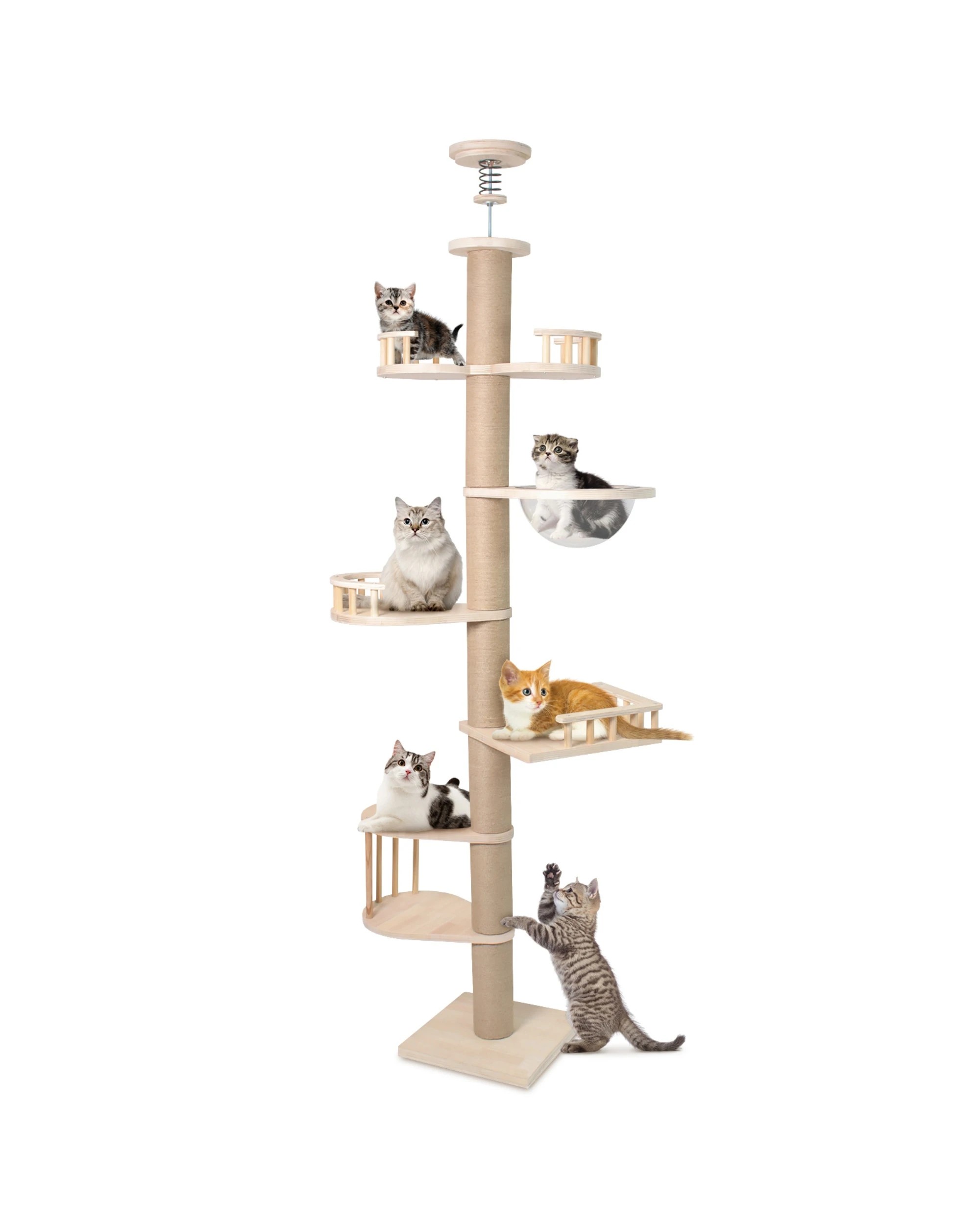 1 Advwin Cat Tree Floor To Ceiling Scratching Post Cat Tower 230cm-245cm, 1 of 7