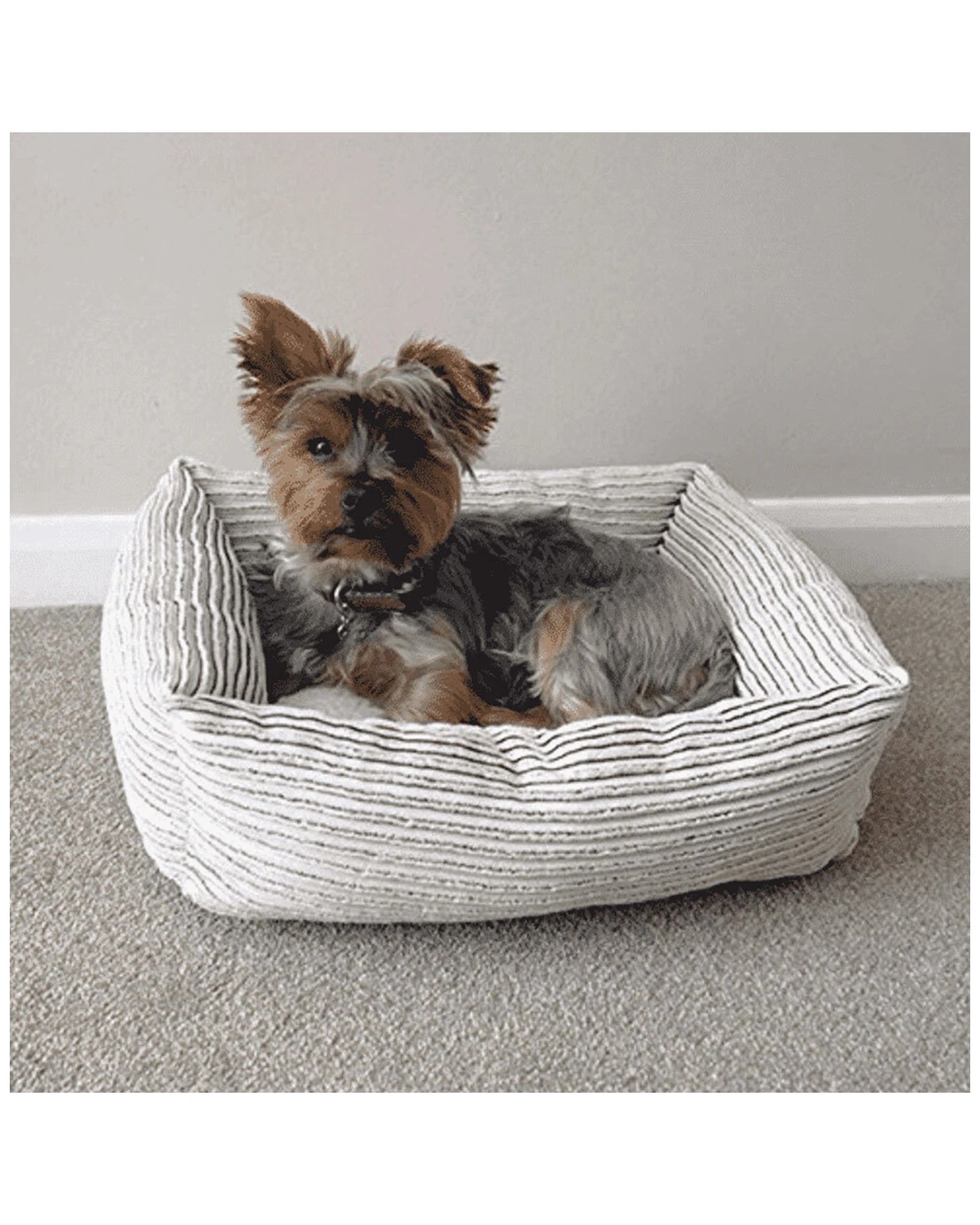 2 Rosewood Jumbo Cord-Teddy Square Bed Dog Bed Machine Washable Bed 71cm
 - beige, 2 of 3