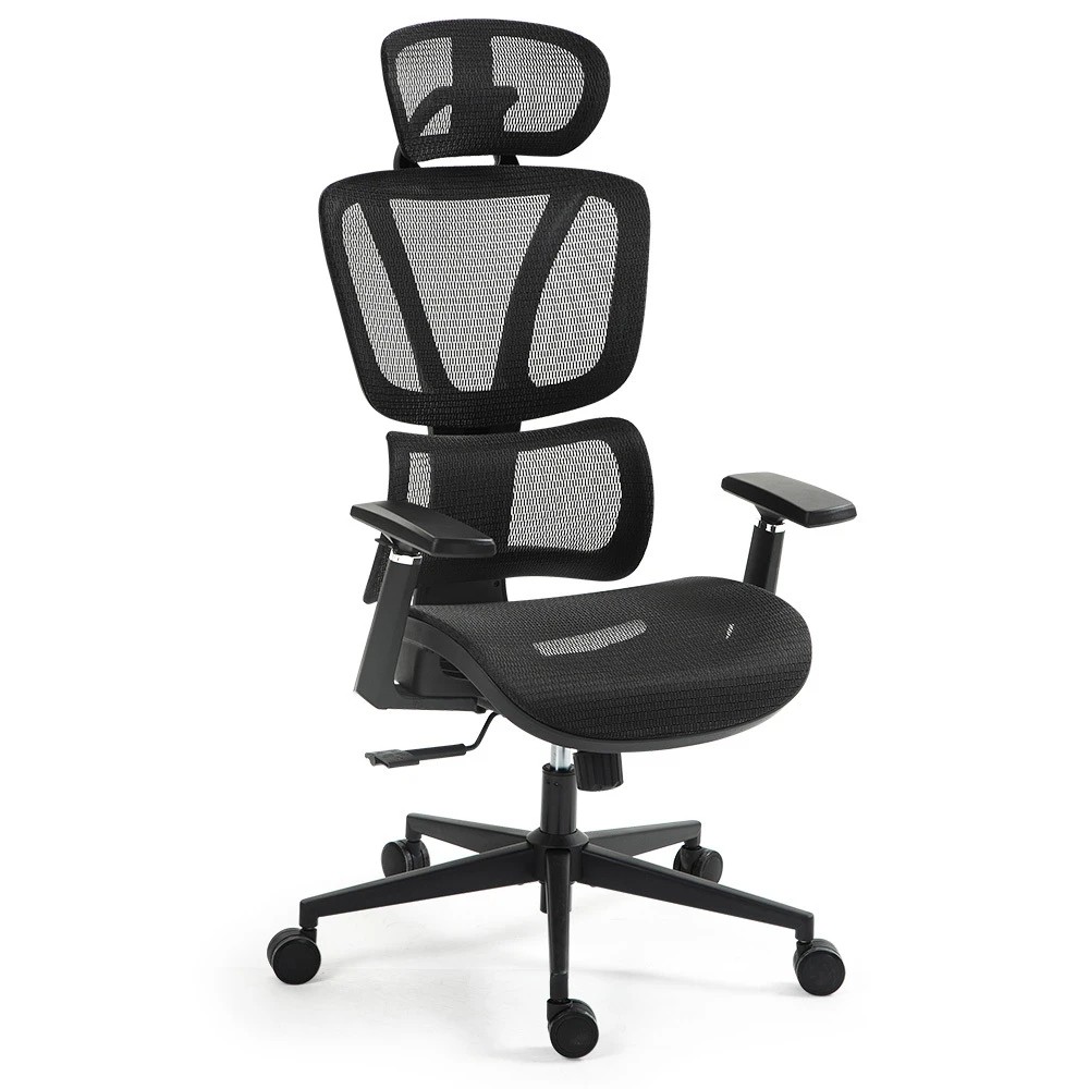 1 Fortia Ergonomic Office Desk Chair with Lumbar Support, Headrest - Black, 1 of 1