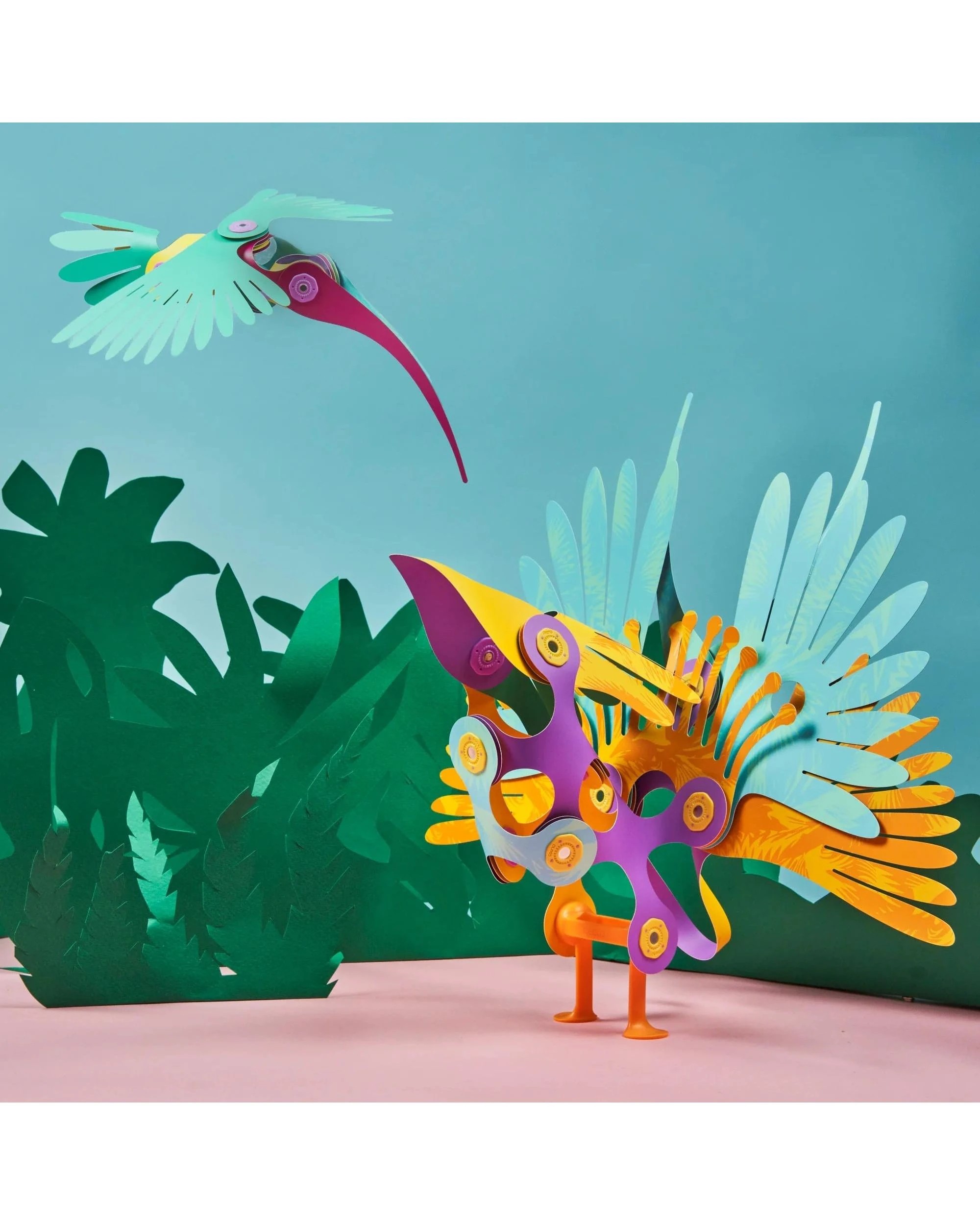 4 Clixo Tropical Birds Pack, 4 of 7