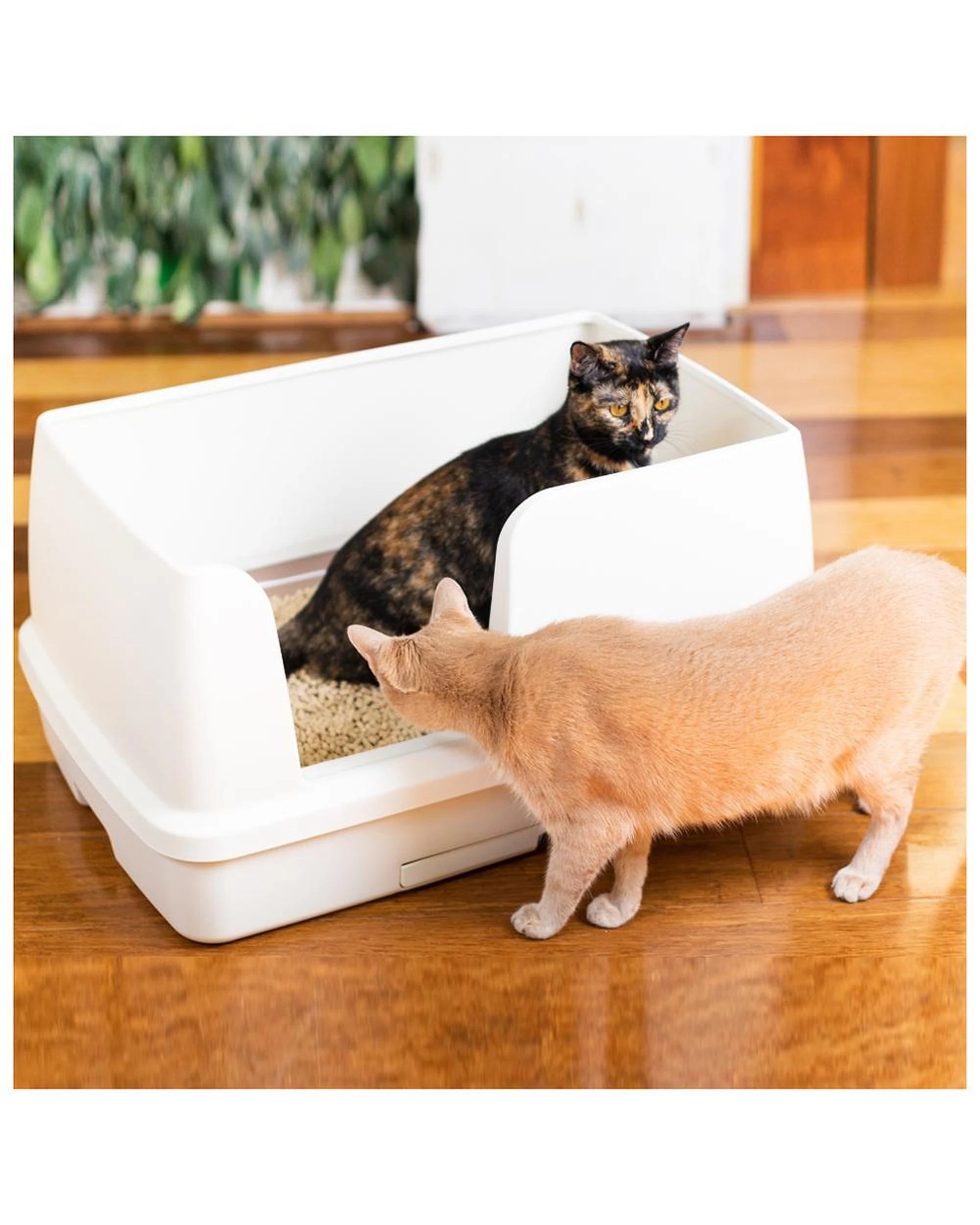 2 Ezi LockOdour Dual Layer Cat Litter System Odour Control XL Kit, 2 of 2