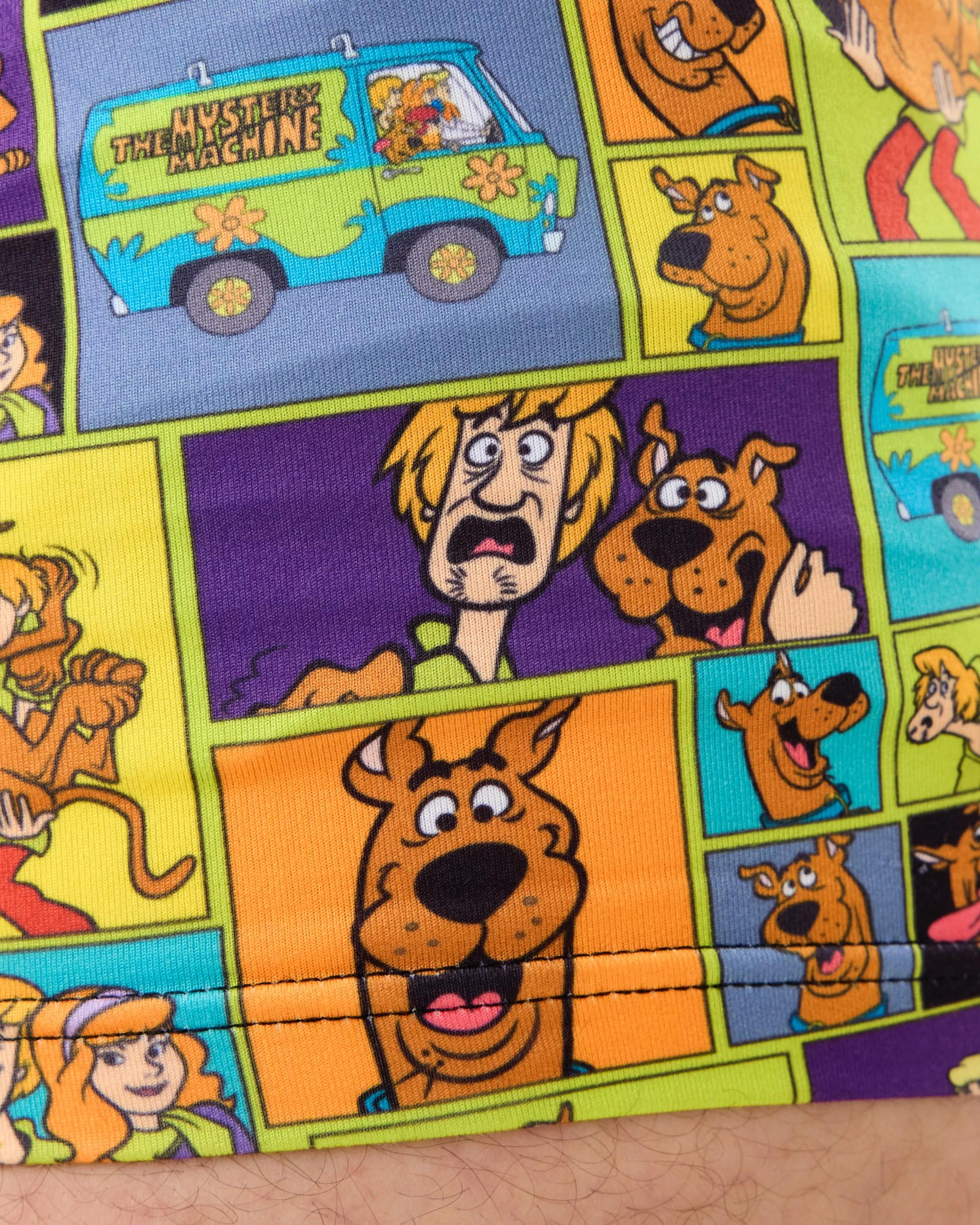 5 License Print Trunks Scbydo W26, 5 of 6