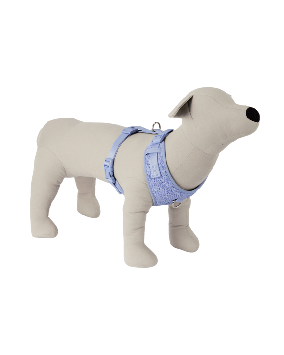 Pet Knit Harness - Large, Blue