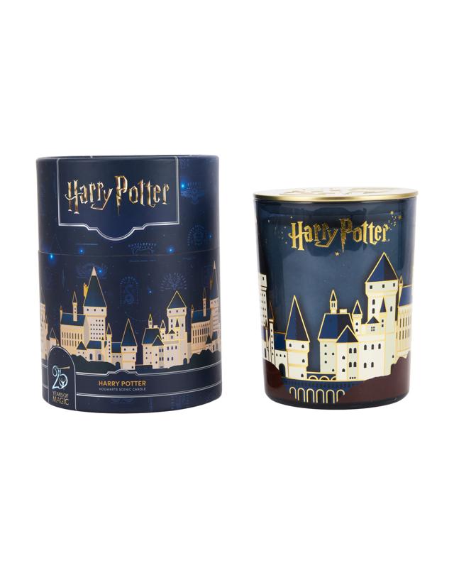 Harry Potter Hogwarts Scenic Ca