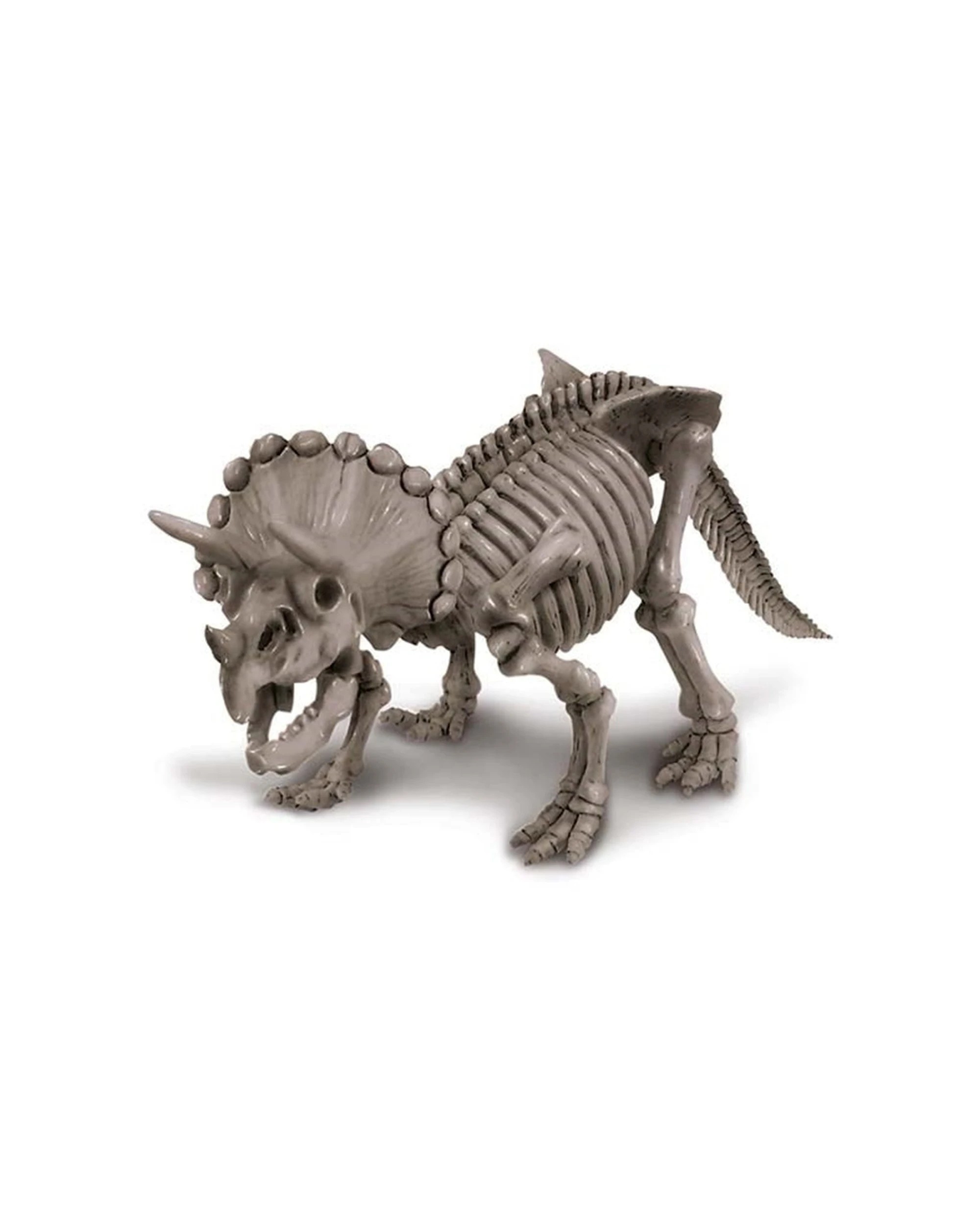 3 4M KidzLabs Dig A Dinosaur Triceratops Assemble Skeleton Kids Learning Toy, 3 of 3