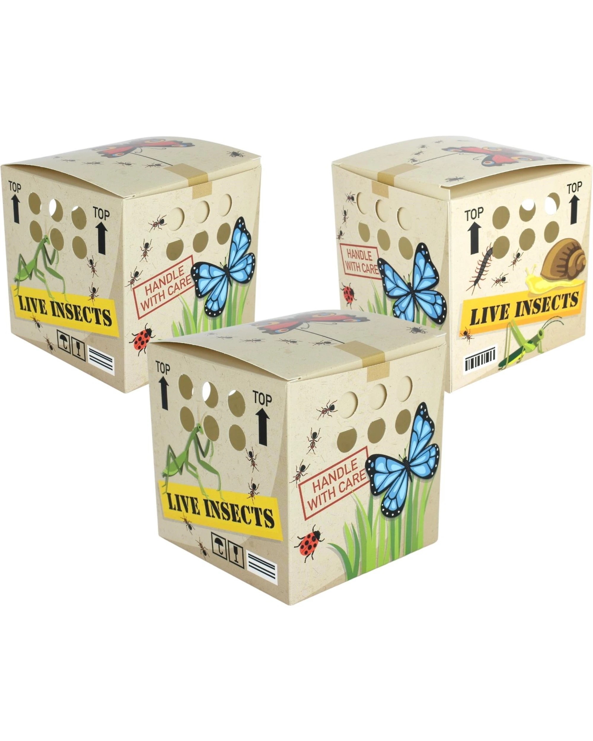 1 Partyrama Backyard Adventures Lolly/Treat Boxes Pack of 12, 1 of 2