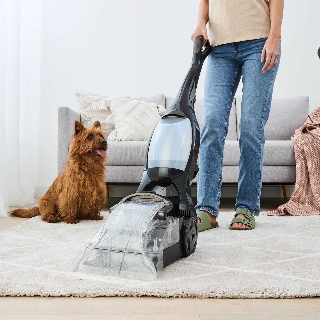 1 Carpet Cleaner, 1 of 10