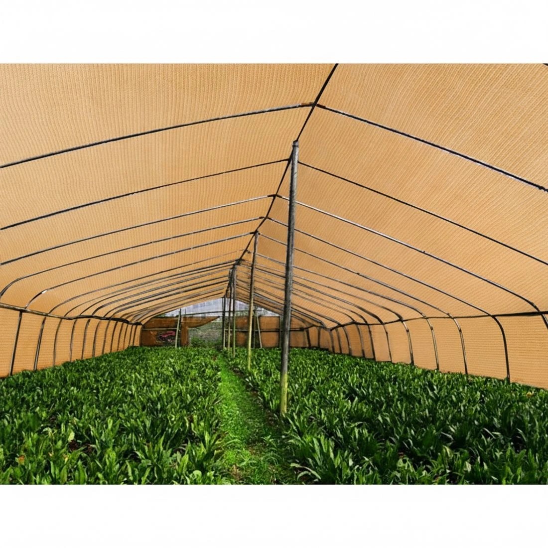 4 Instahut 50% Shade Cloth 3.66x30m Shadecloth Sail Heavy Duty - Beige, 4 of 5