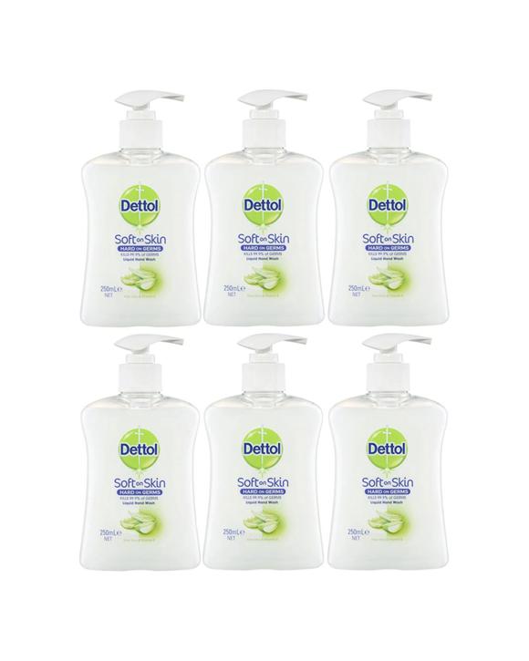 Dettol 6PK Liquid Hand Wash 250ml Aloe Vera Vitamin E - Multi
